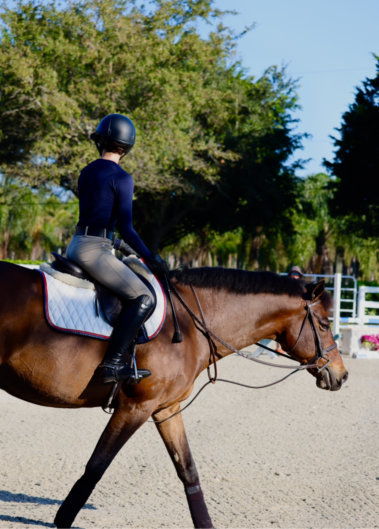 Jump Saddle Pad | White San Eligius