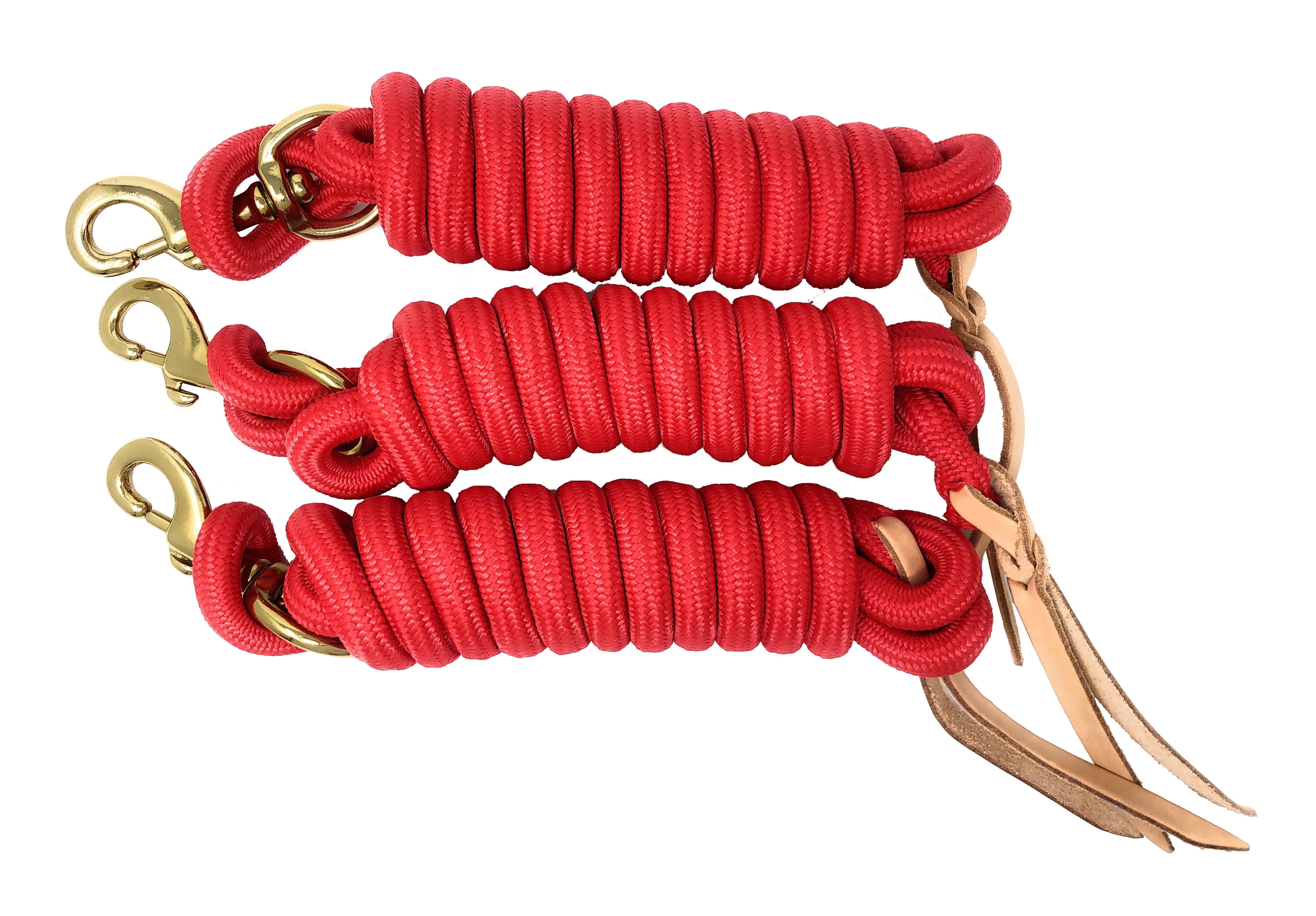 AJ Tack 9 Foot Nylon Lead Rope with Leather Popper - Set of 3 AJ Tack