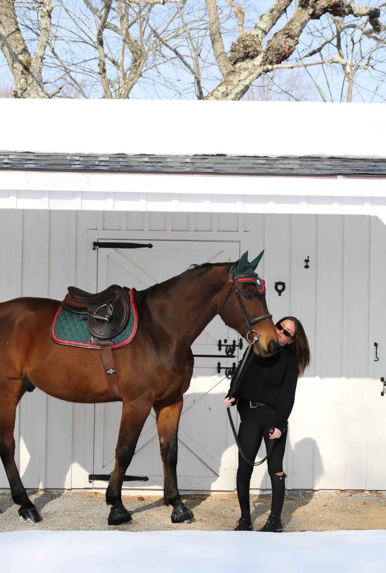 Horse Bonnet | Green- Brown & Red San Eligius