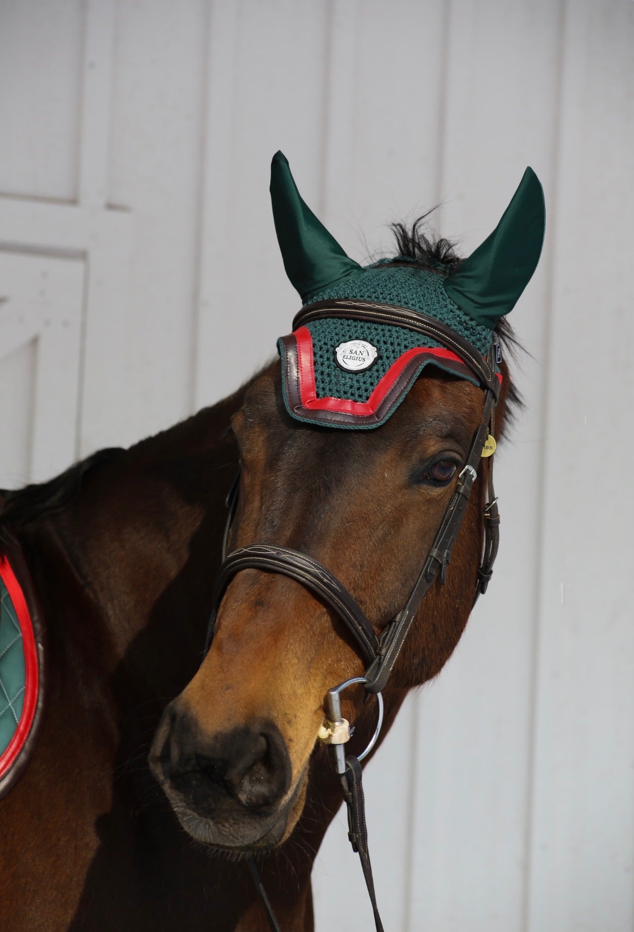 Horse Bonnet | Green- Brown & Red San Eligius