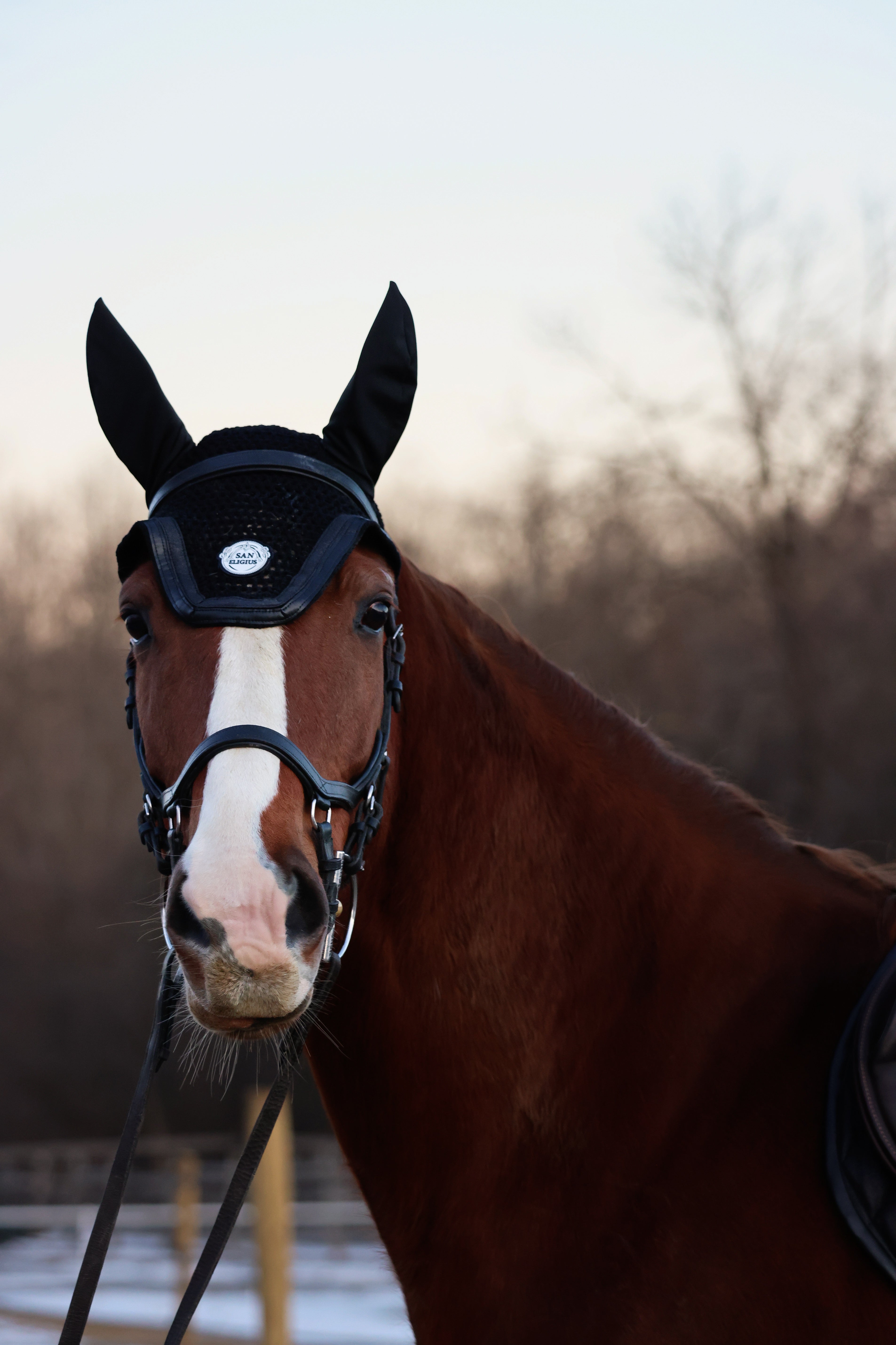 Horse Bonnet | Black Ice San Eligius