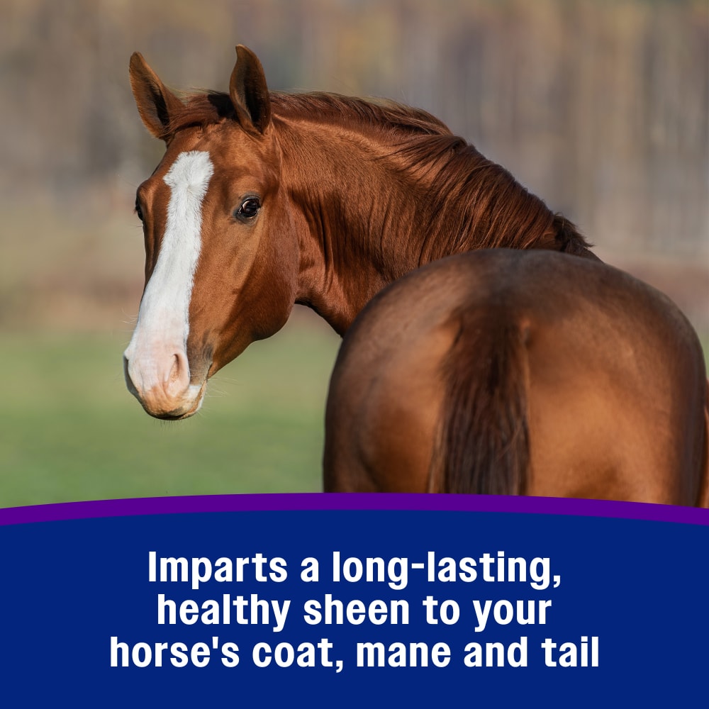 Farnam Vetrolin Shine Coat Conditioner & Shine Spray for Horses Mane Tail 64 oz. Paw and Tail Supply