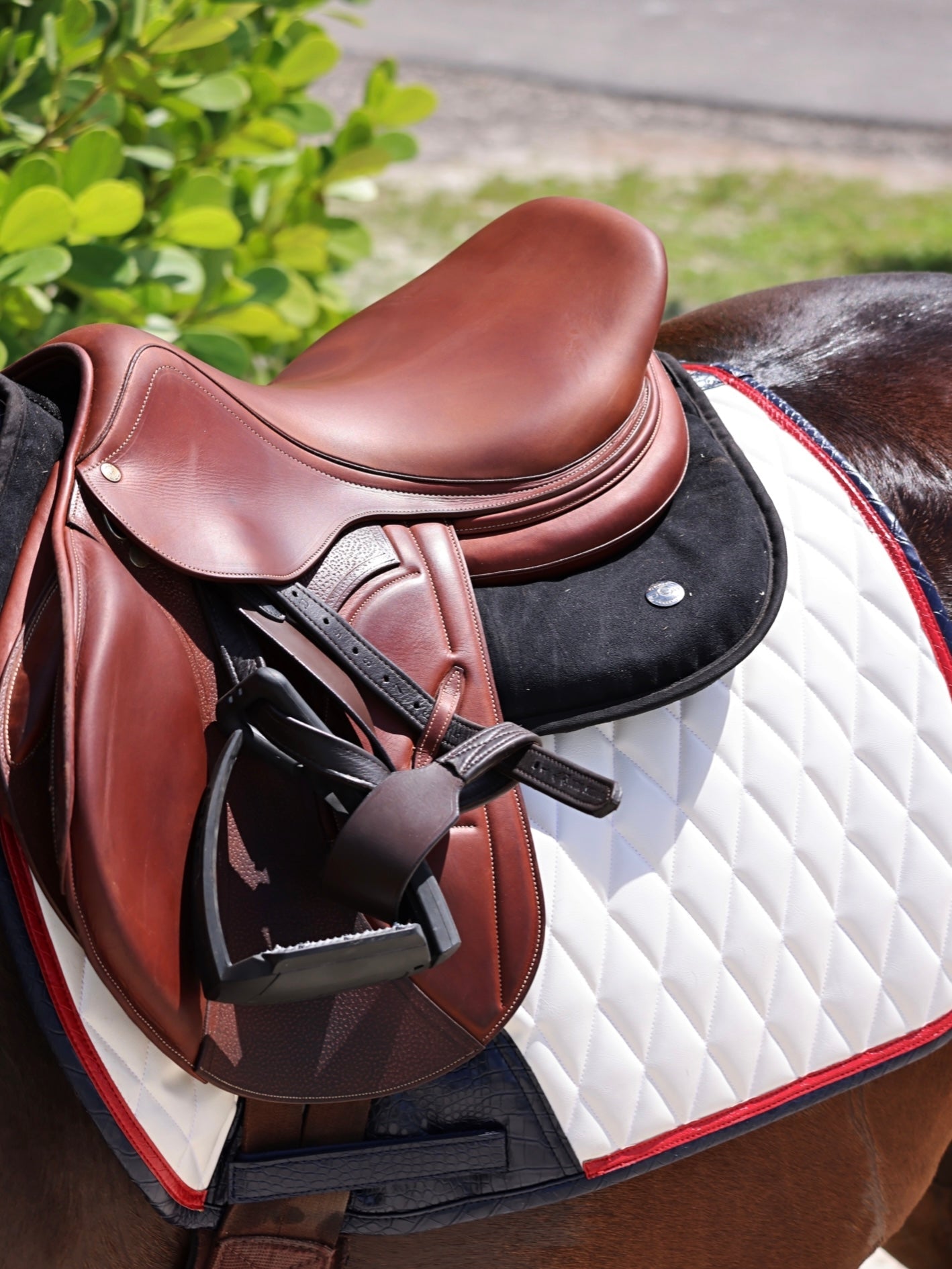 Jump Saddle Pad | White San Eligius