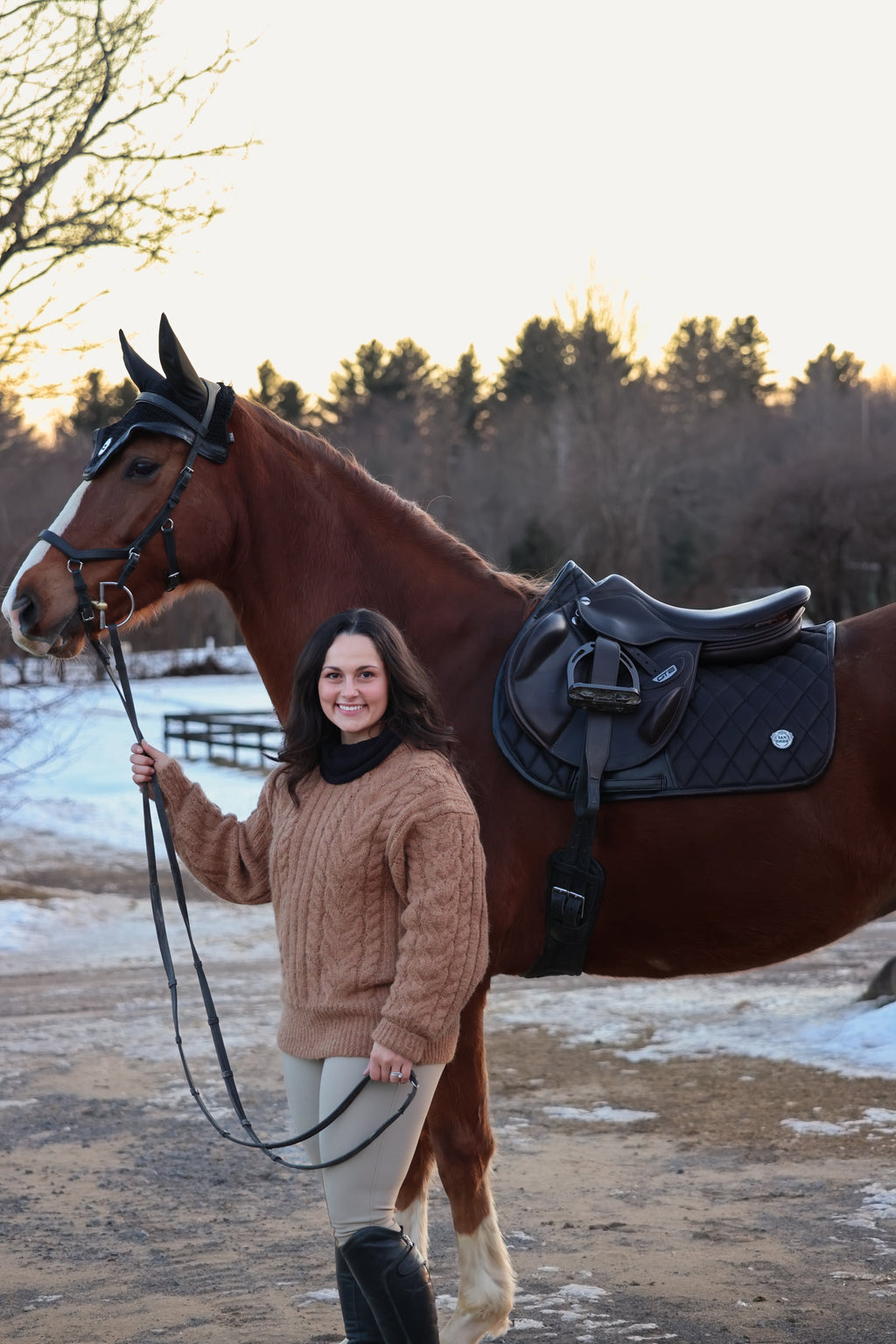 Horse Bonnet | Black Ice San Eligius