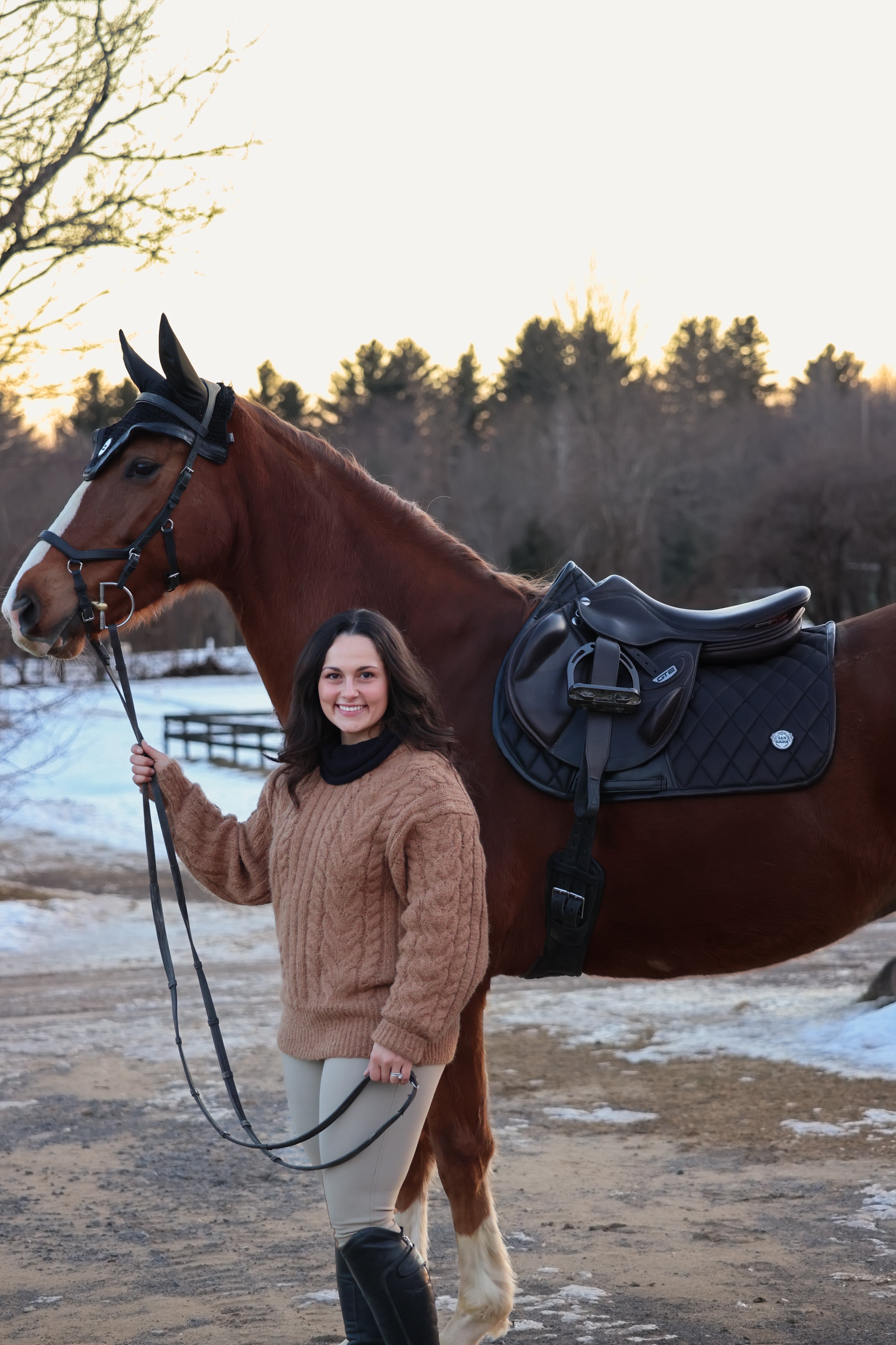 Horse Bonnet | Black Ice San Eligius