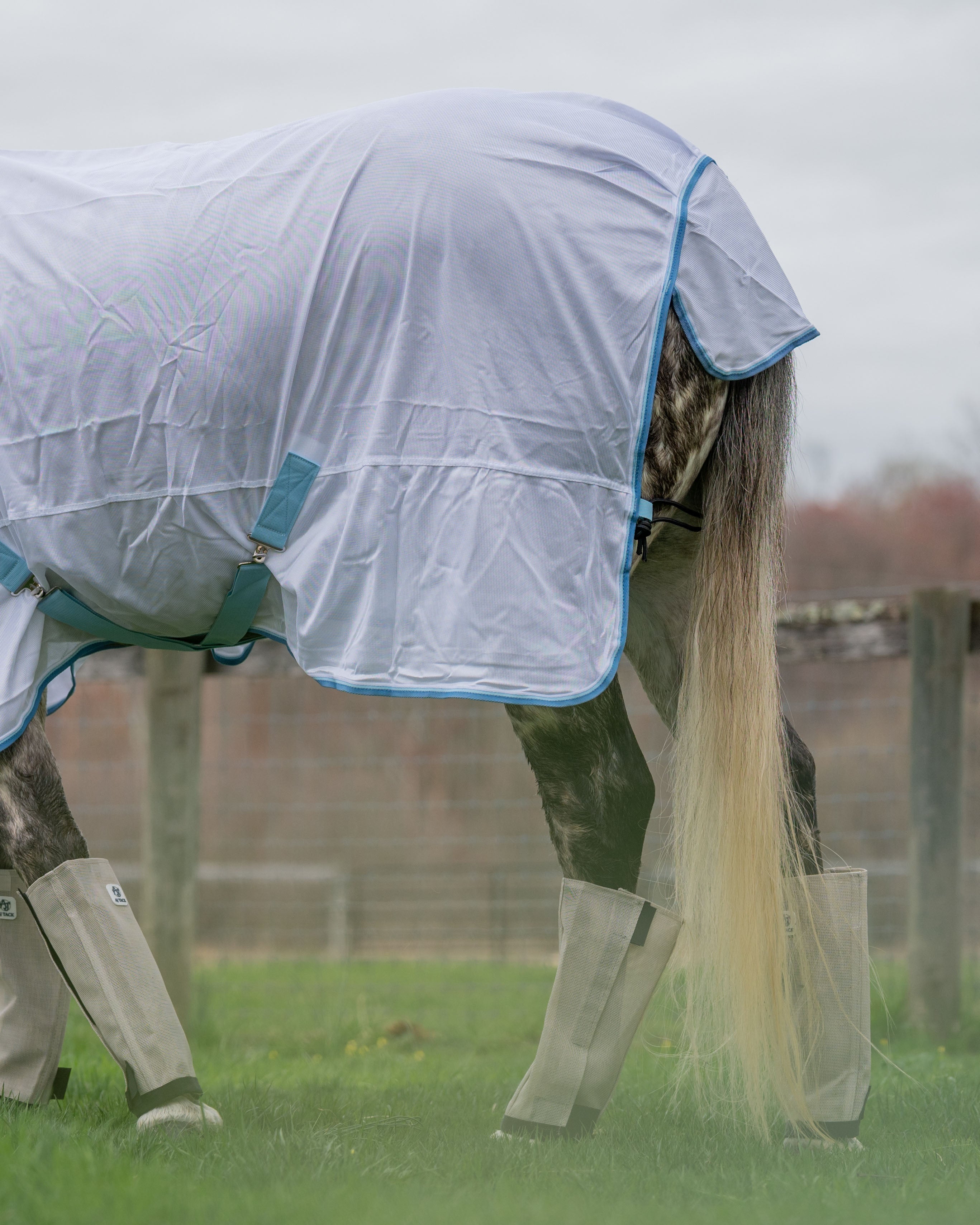 AJ Tack PestShield Lite Fly Sheet AJ Tack