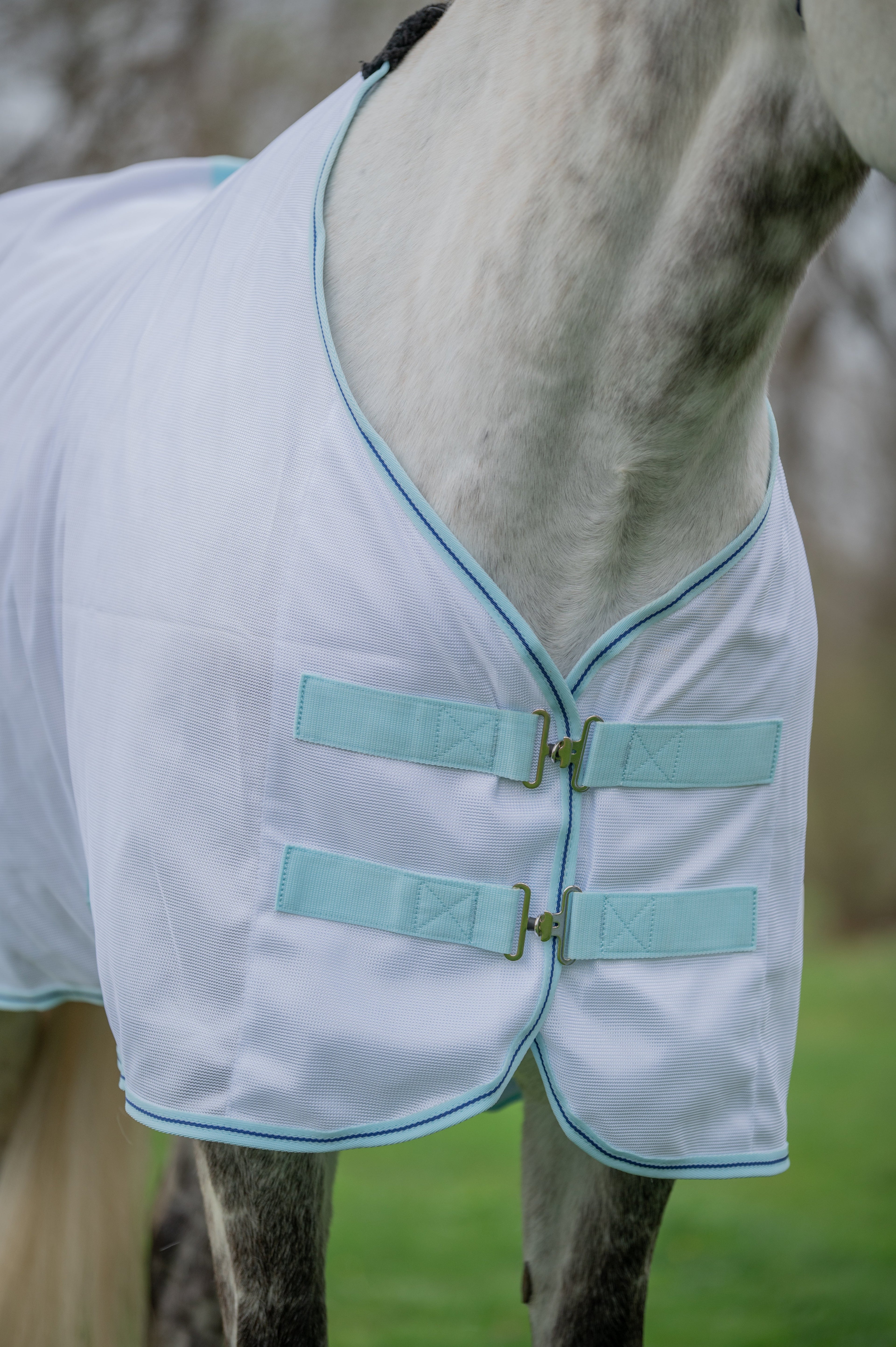 AJ Tack Lightweight Fly Sheet AJ Tack