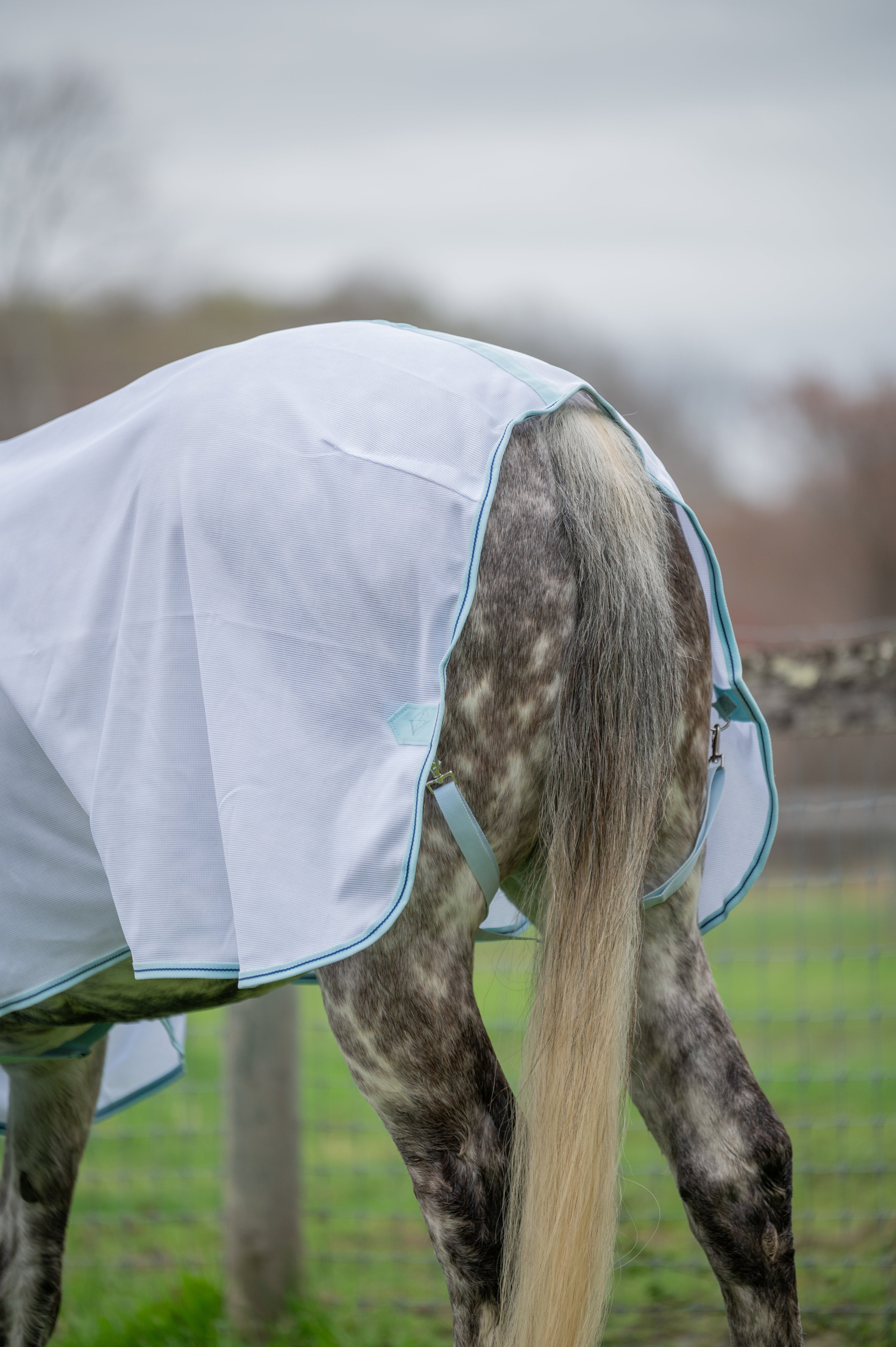 AJ Tack Lightweight Fly Sheet AJ Tack