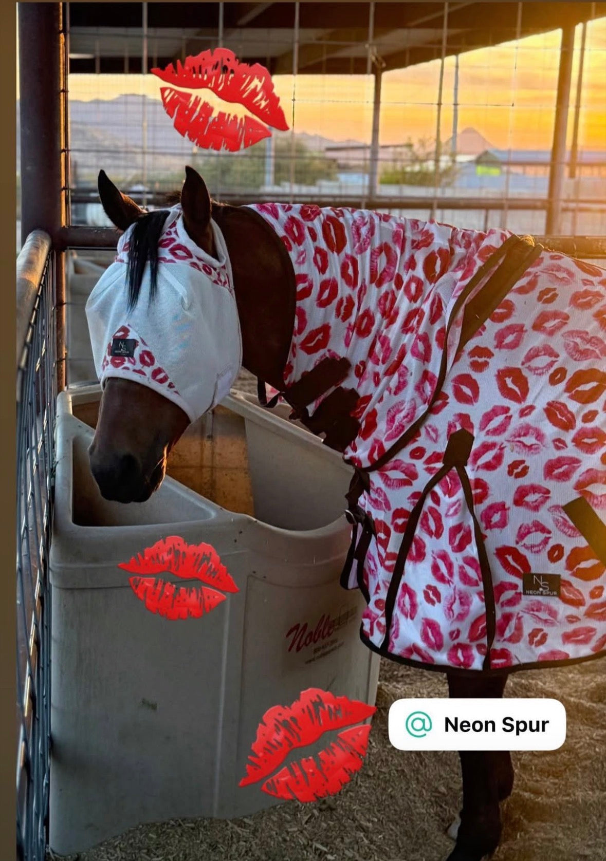 Smooch Horse Fly Mask  -White Neon Spur