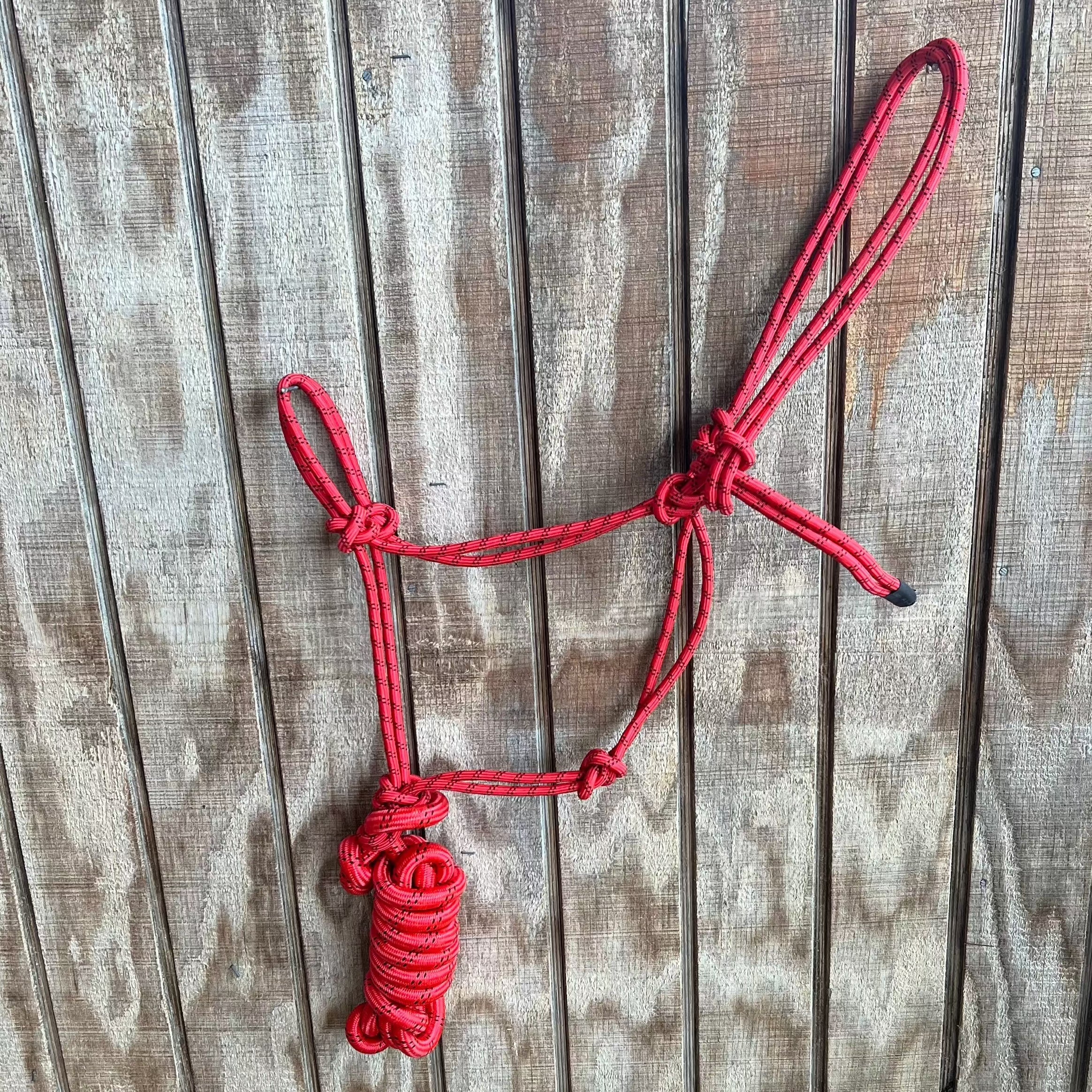 Cowboy Knot Halter Summerdale Western Store
