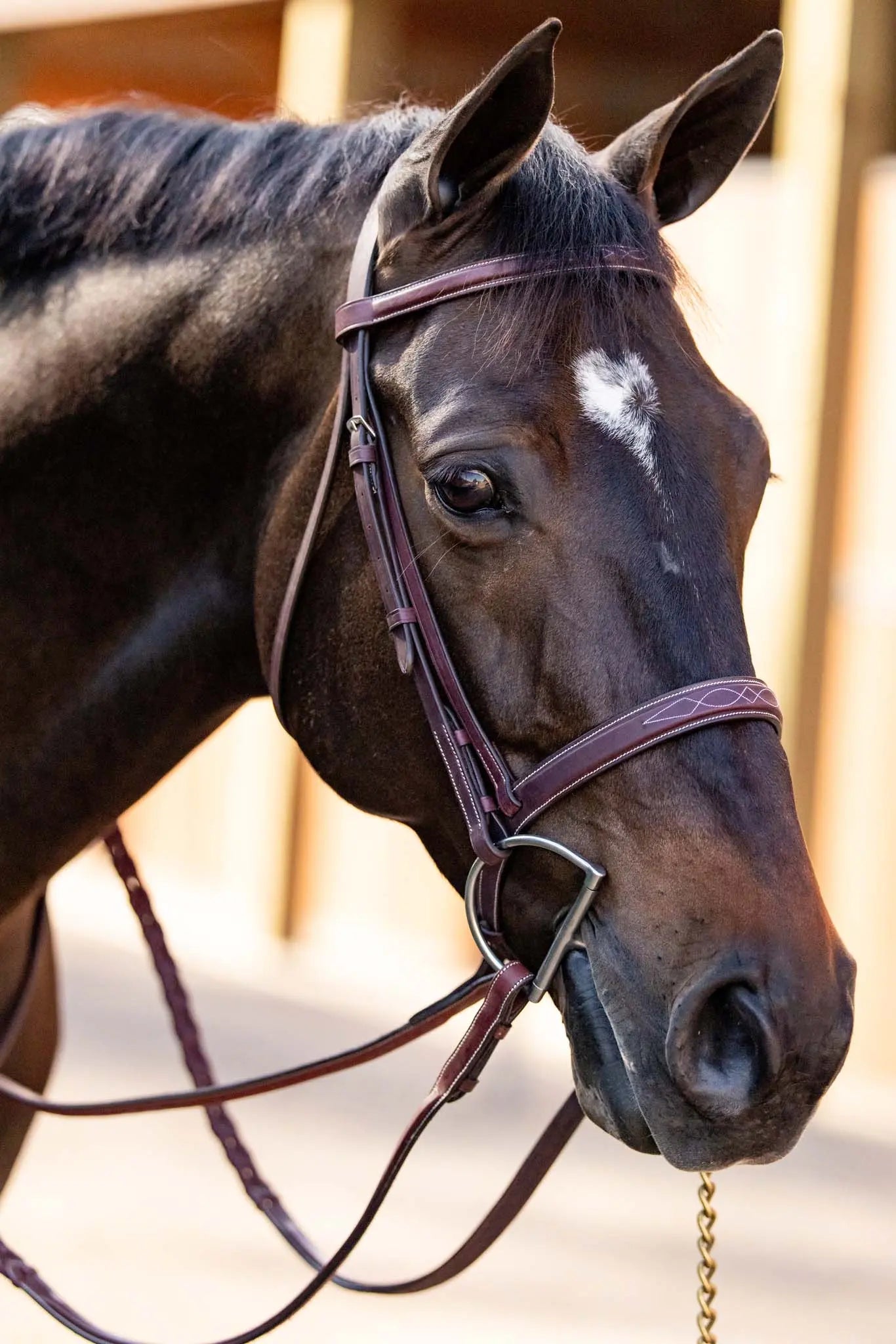 Huntley Equestrian Fancy Stitched Schooling Hunter Bridle with Reins Huntley Equestrian