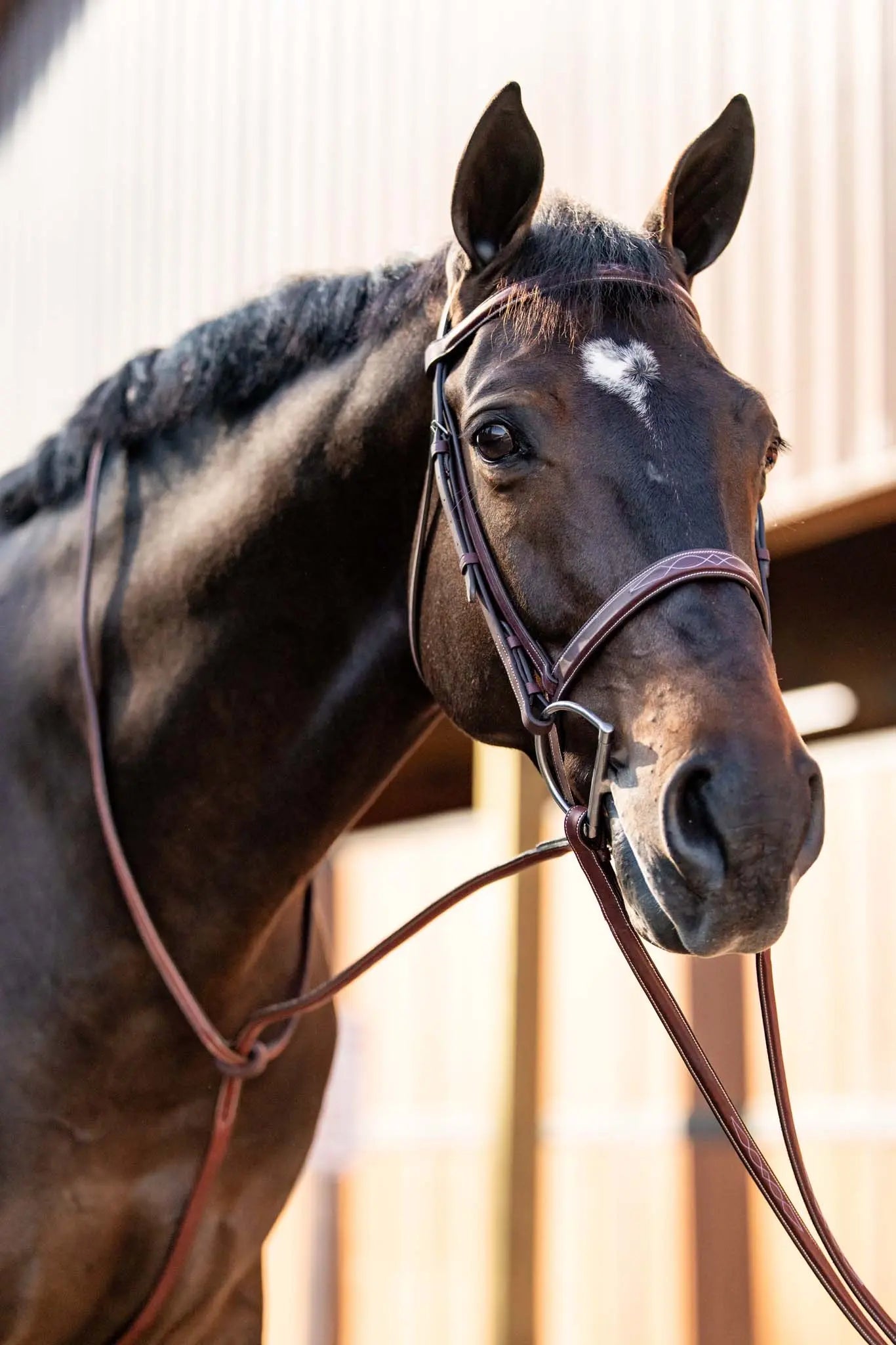 Huntley Equestrian Fancy Stitched Schooling Hunter Bridle with Reins Huntley Equestrian