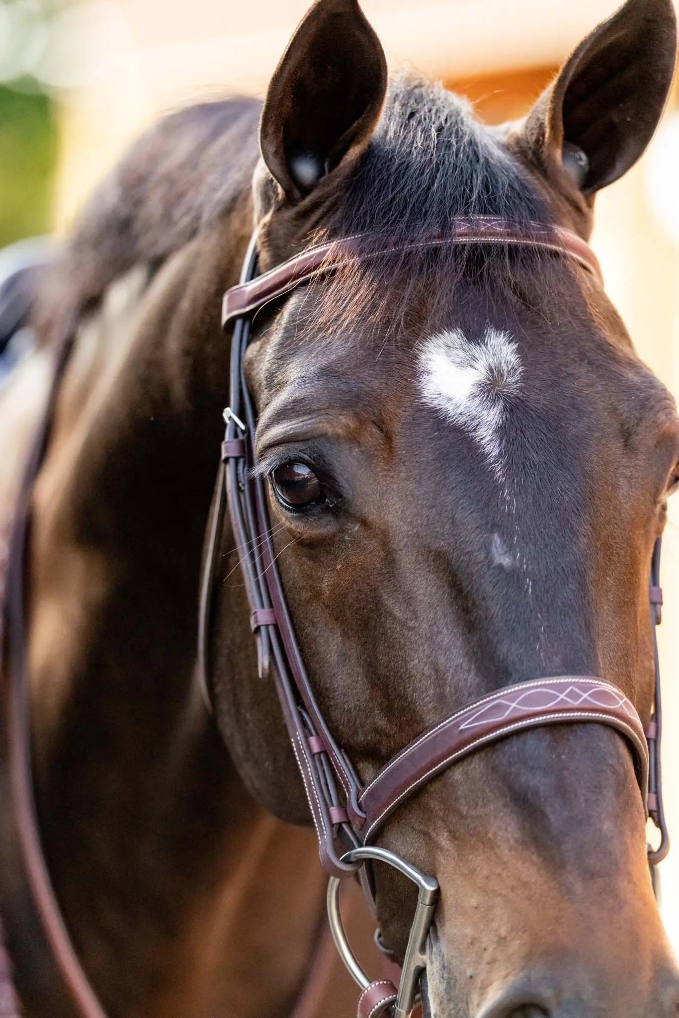 Huntley Equestrian Fancy Stitched Schooling Hunter Bridle with Reins Huntley Equestrian