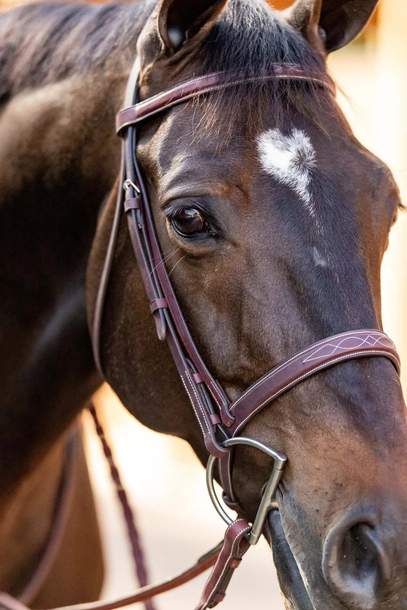 Huntley Equestrian Fancy Stitched Schooling Hunter Bridle with Reins Huntley Equestrian