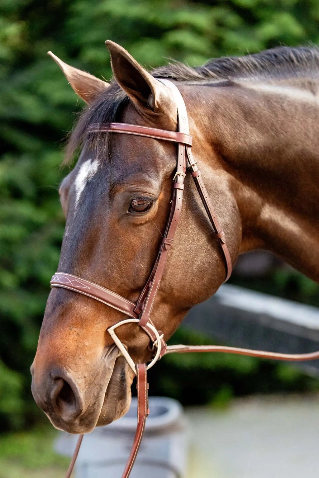 Huntley Equestrian Fancy Stitched Schooling Hunter Bridle with Reins Huntley Equestrian