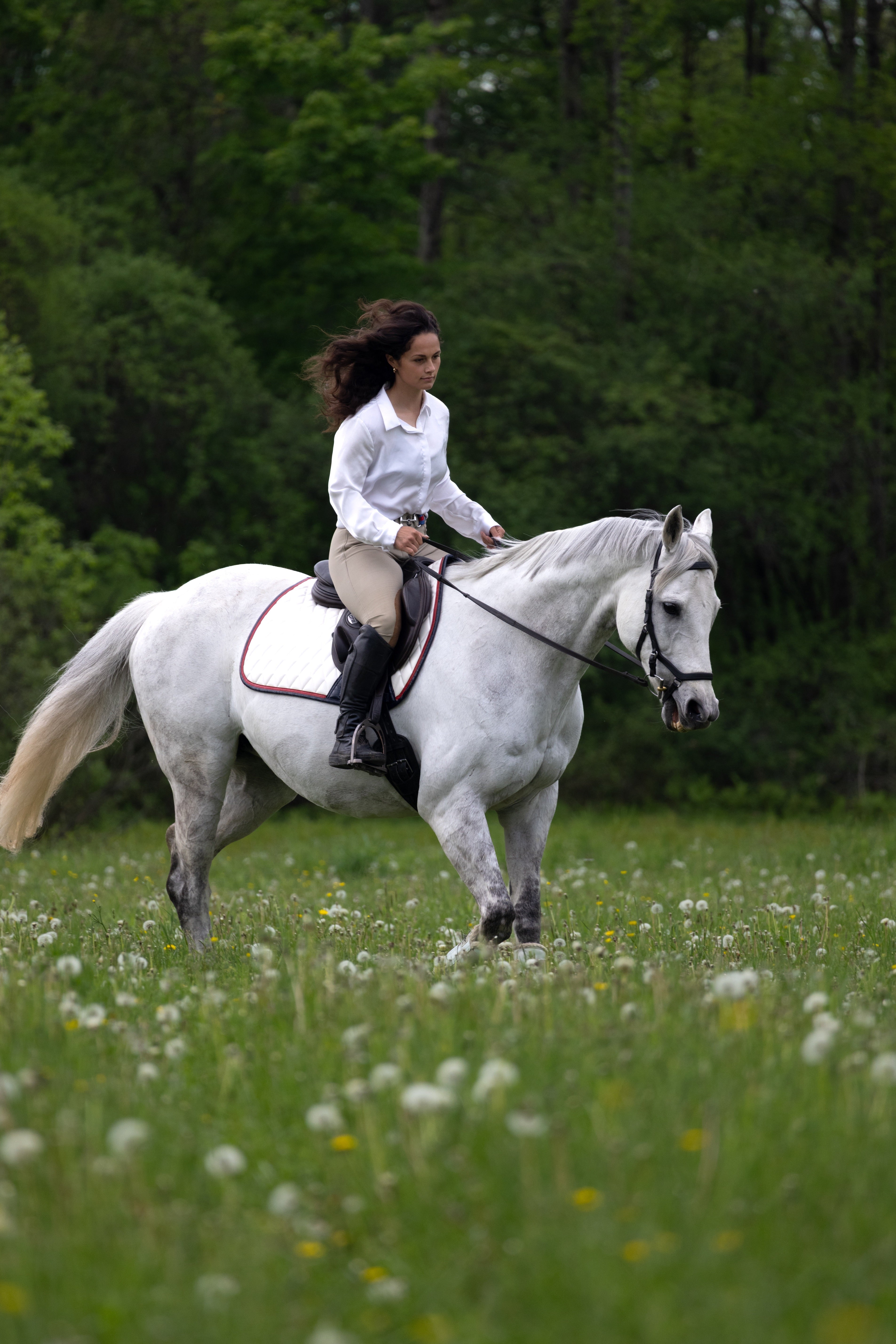 Jump Saddle Pad | White San Eligius