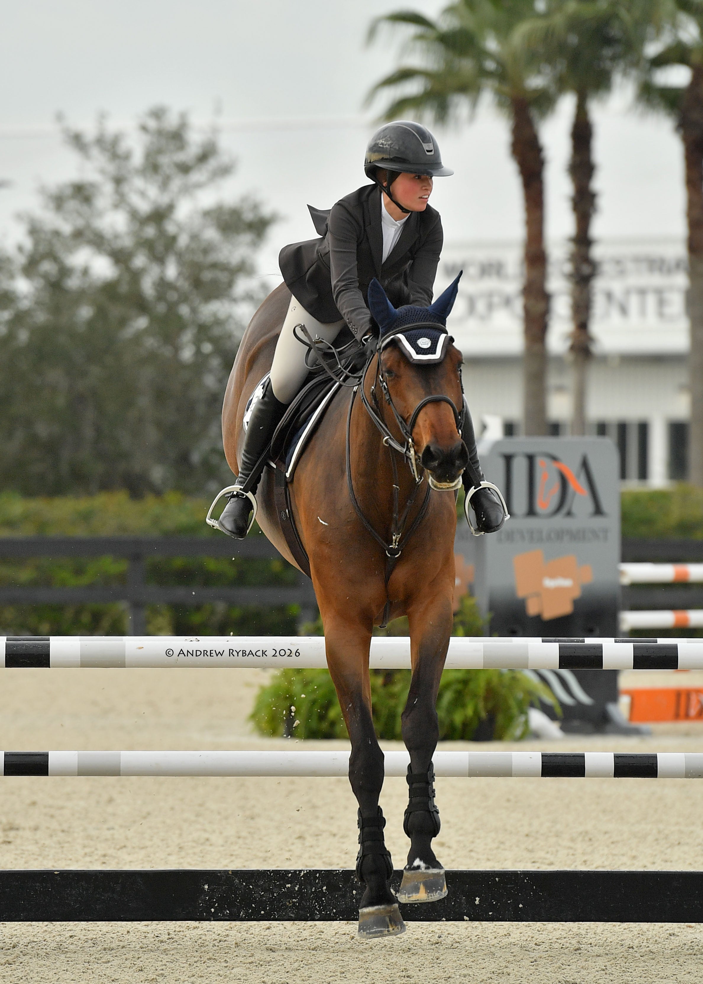 Horse Bonnet | Navy- Brown & White San Eligius