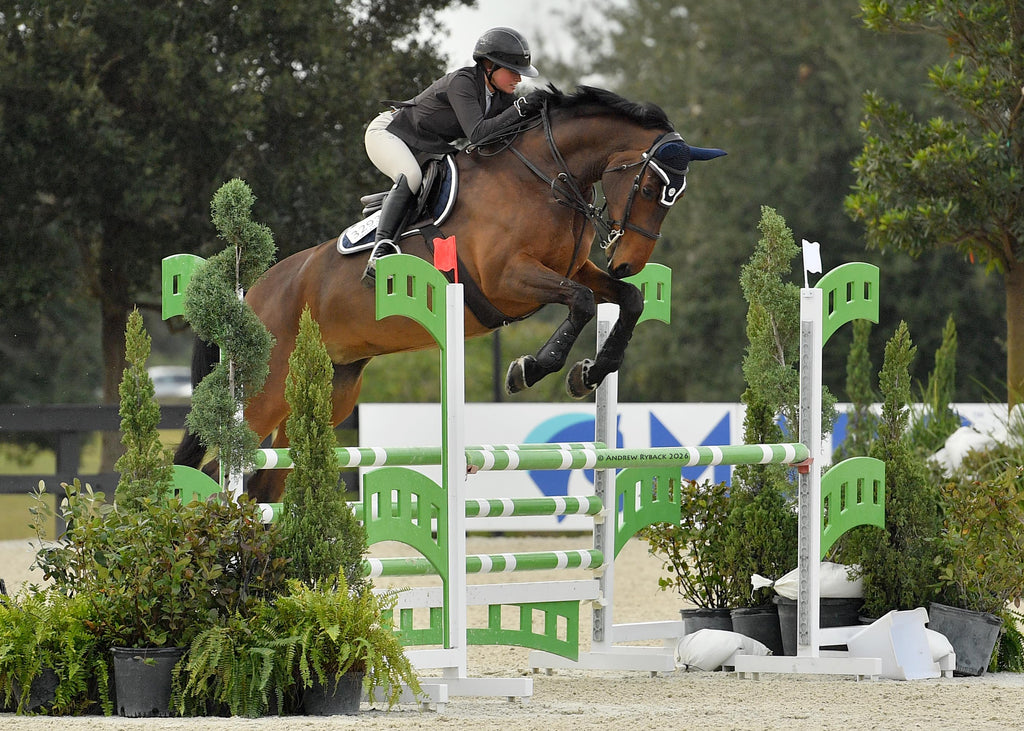 Jump Saddle Pad | Navy San Eligius