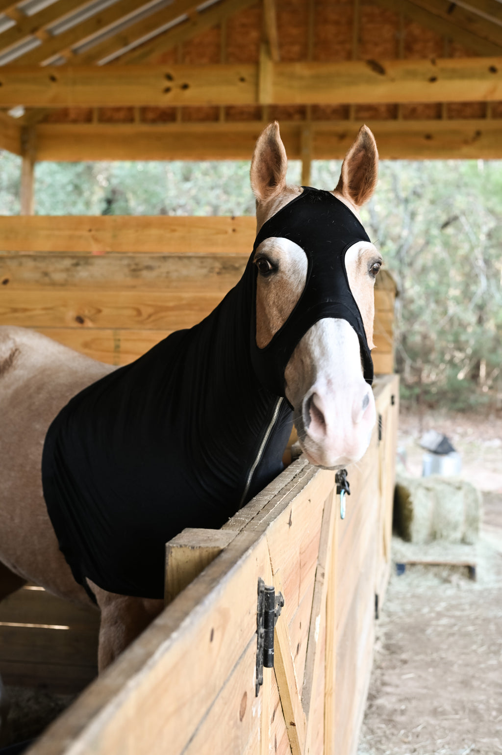 AJ Tack Full Zip Lycra Hood AJ Tack