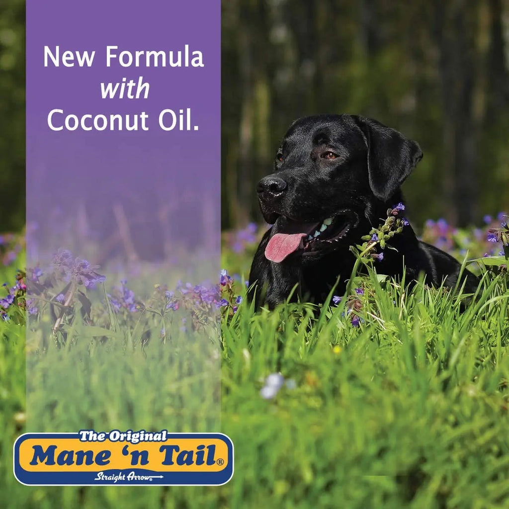 Mane 'n Tail Ultimate Gloss Horse Conditioner Gentle Formula 32oz Paw and Tail Supply