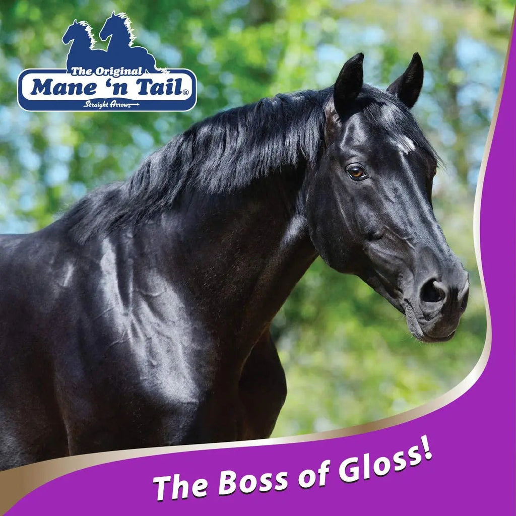 Mane 'n Tail Ultimate Gloss Horse Conditioner Gentle Formula 32oz Paw and Tail Supply