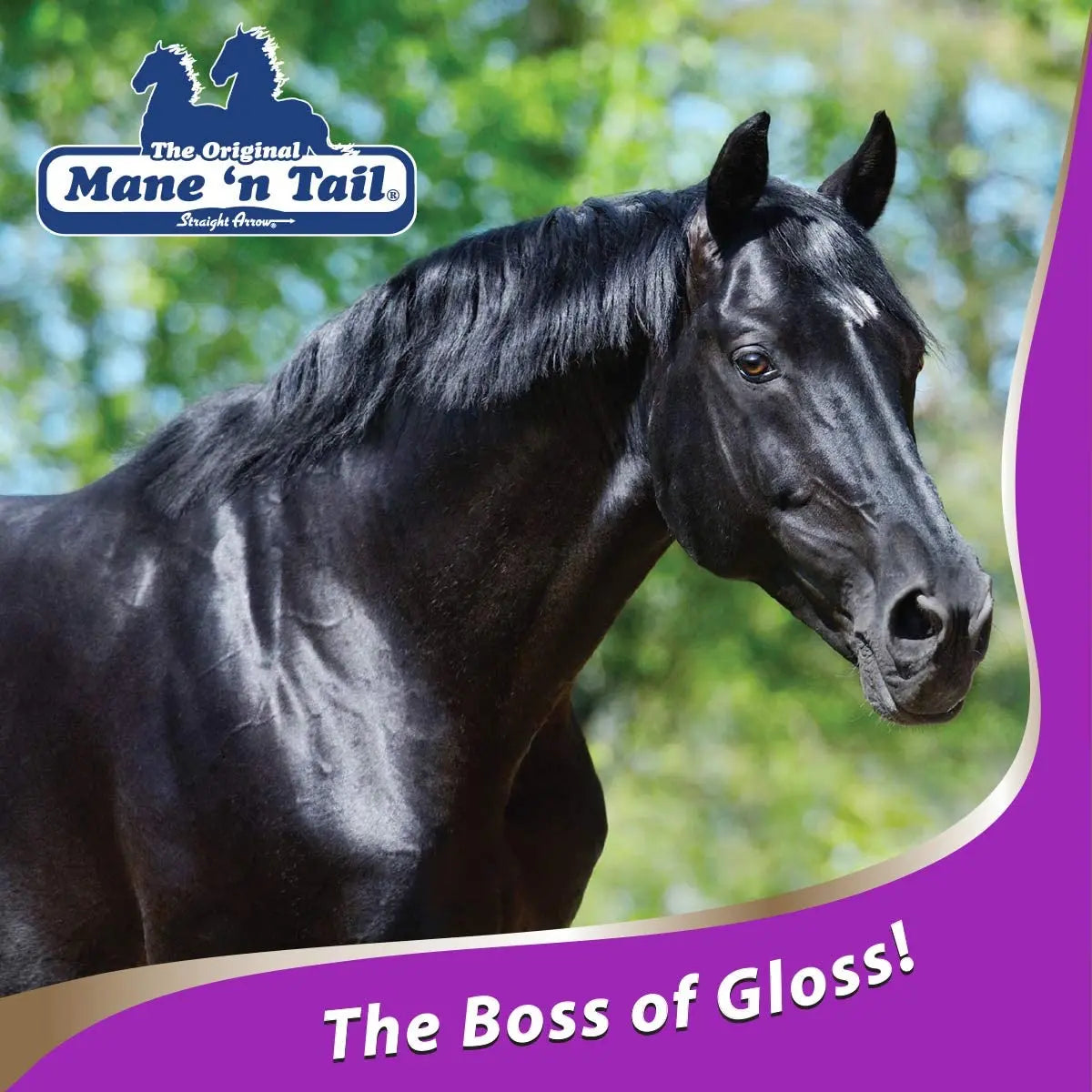 Mane 'n Tail Ultimate Gloss Horse Conditioner Gentle Formula 32oz Paw and Tail Supply