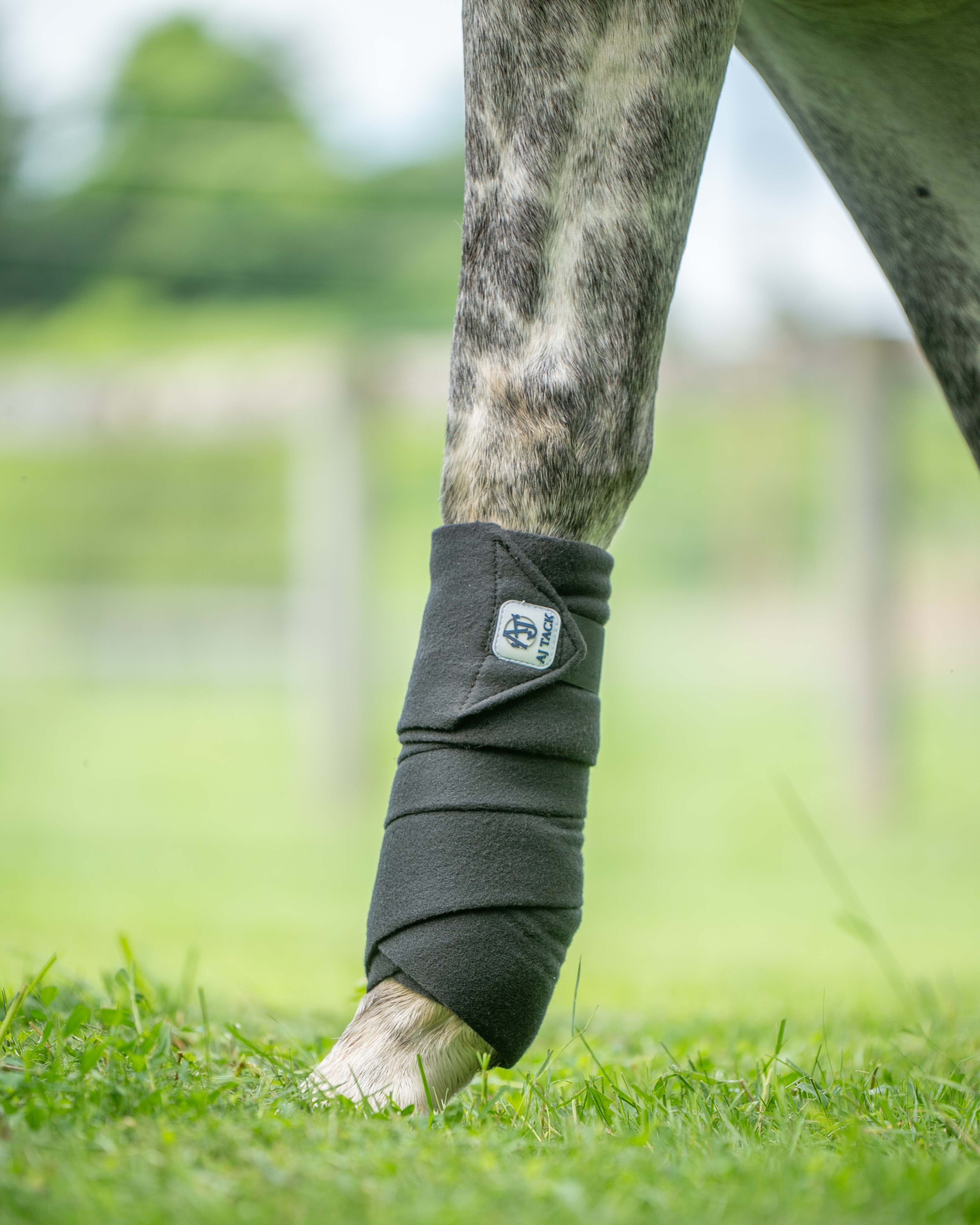 AJ Tack Polo Wraps - 12 ft - Pack of 4 AJ Tack