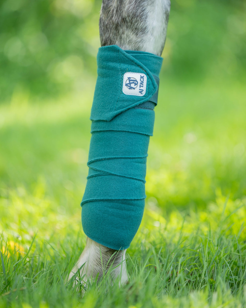 AJ Tack Polo Wraps - 12 ft - Pack of 4 AJ Tack