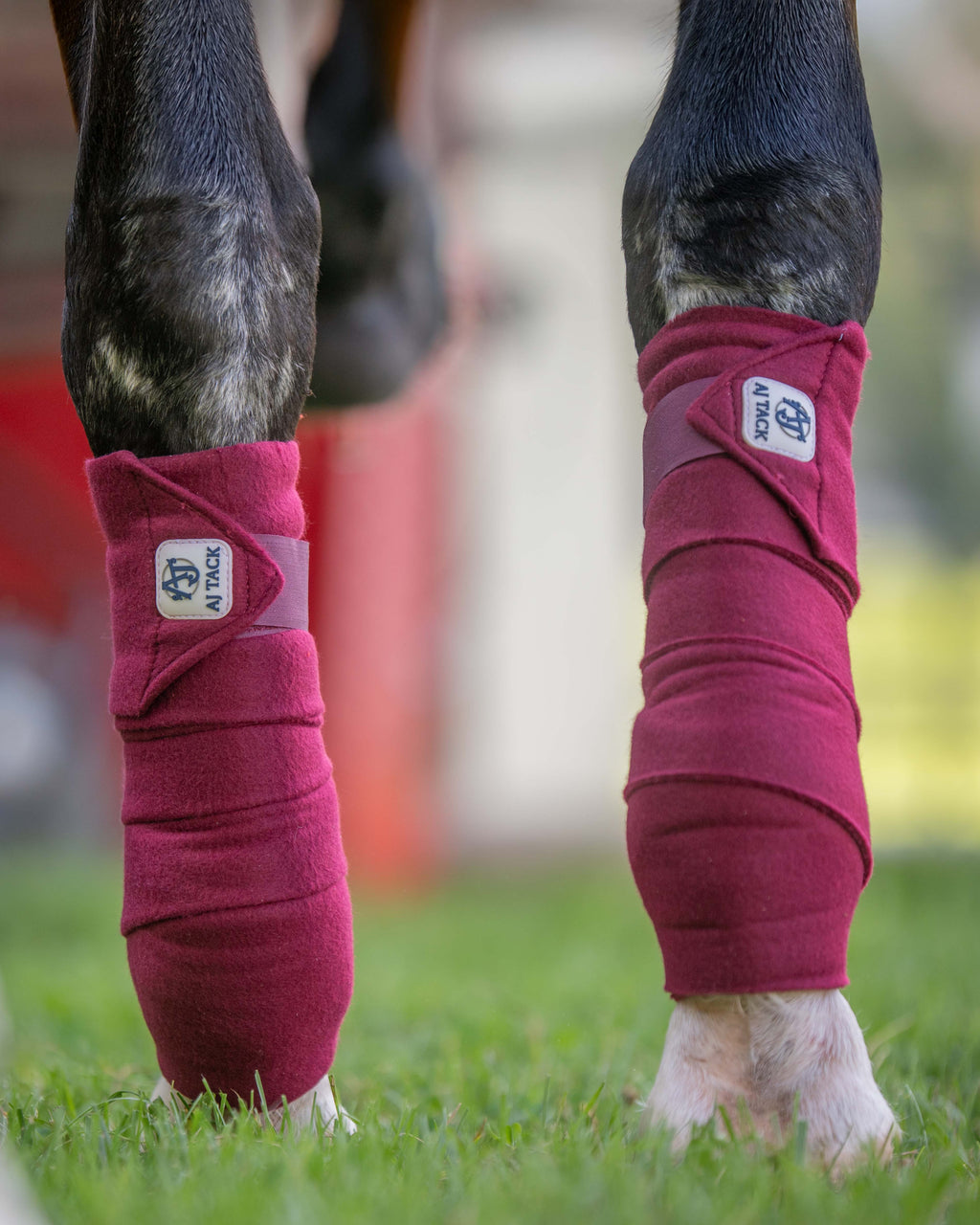 AJ Tack Polo Wraps - 12 ft - Pack of 4 AJ Tack