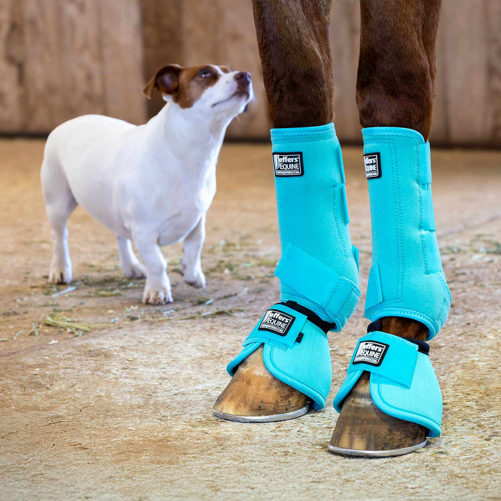 Jeffers Protective Horse Boots, Solid Colors Jeffers