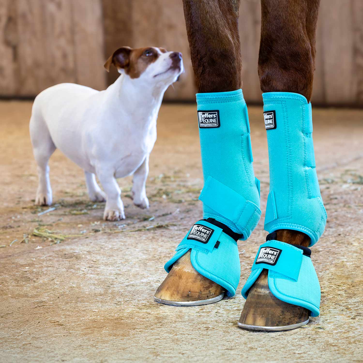 Jeffers Protective Horse Boots, Solid Colors Jeffers