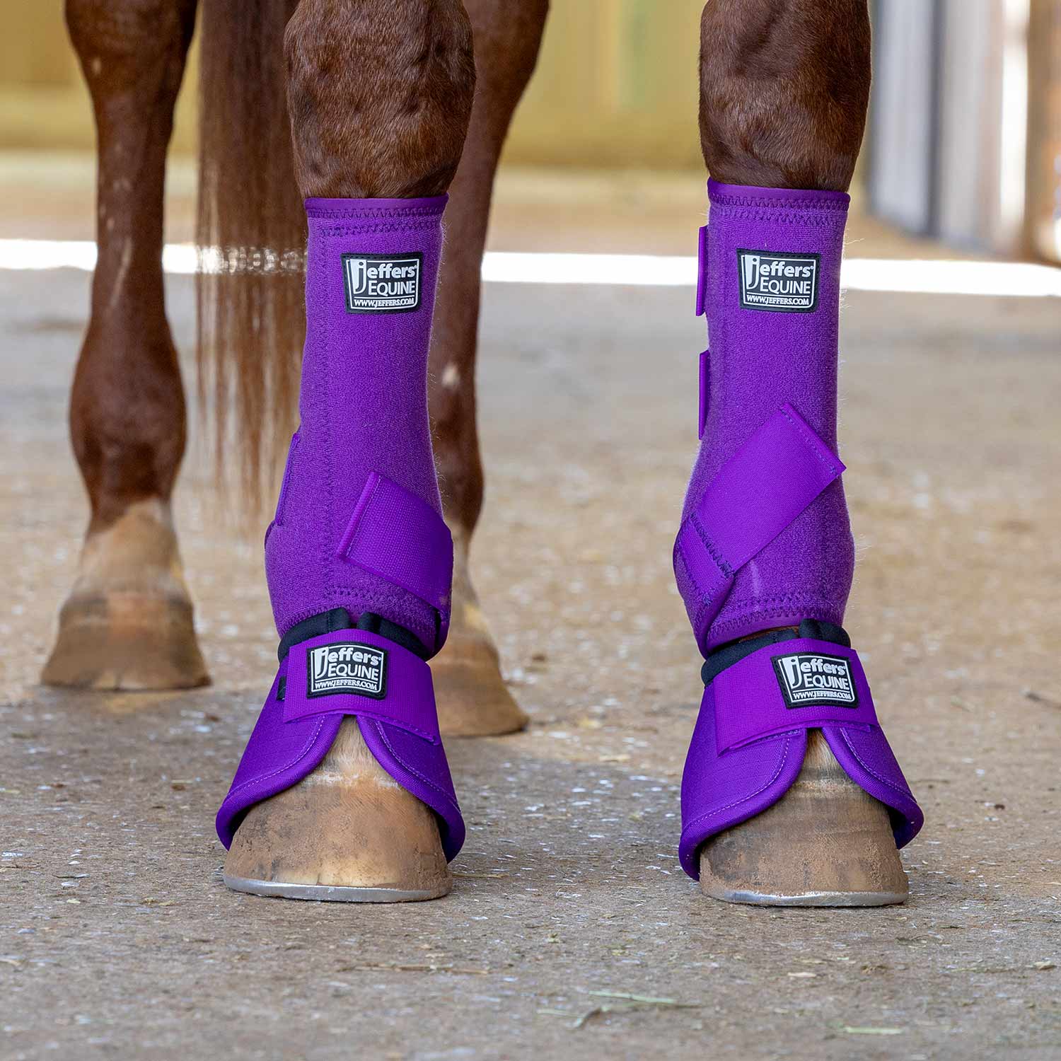 Jeffers Protective Horse Boots, Solid Colors Jeffers