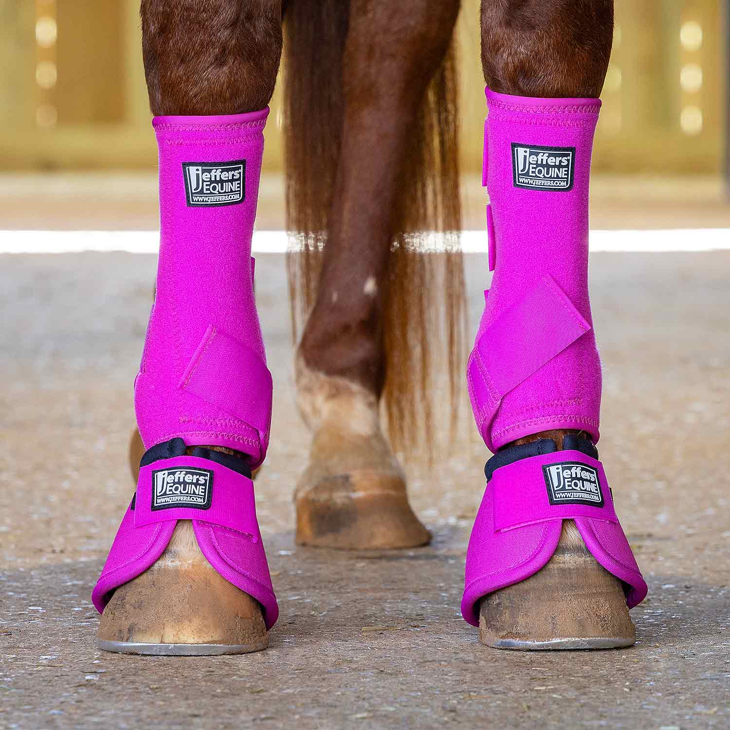 Jeffers Protective Horse Boots, Solid Colors Jeffers