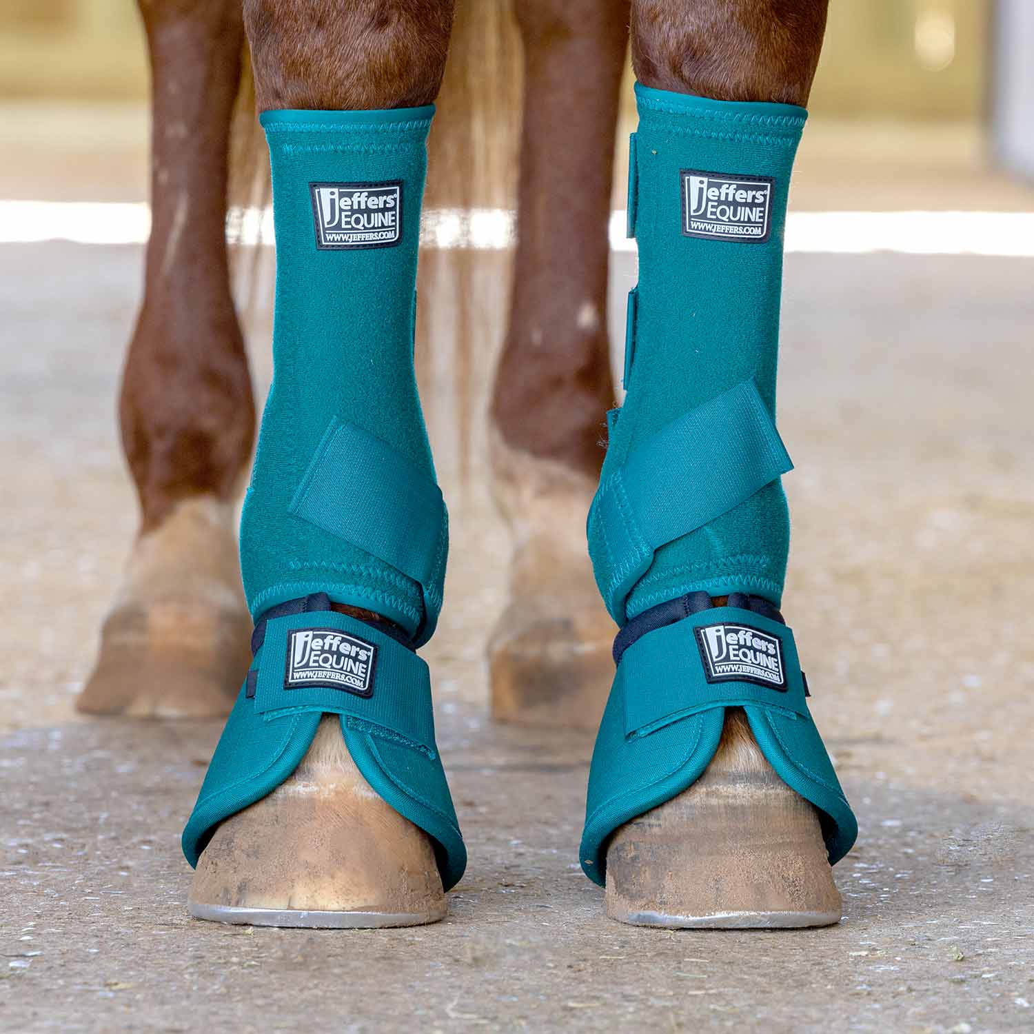 Jeffers Protective Horse Boots, Solid Colors Jeffers