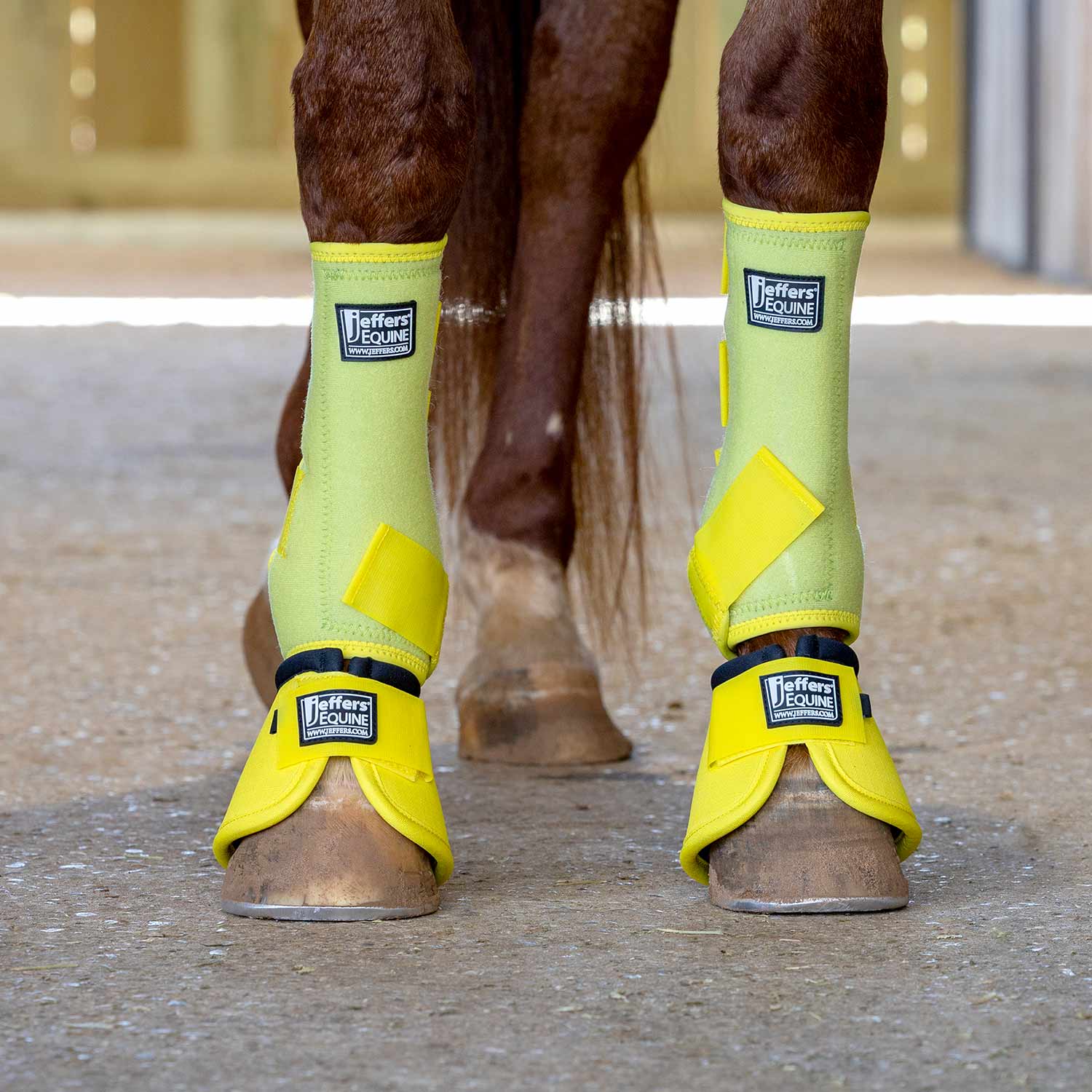 Jeffers Protective Horse Boots, Solid Colors Jeffers