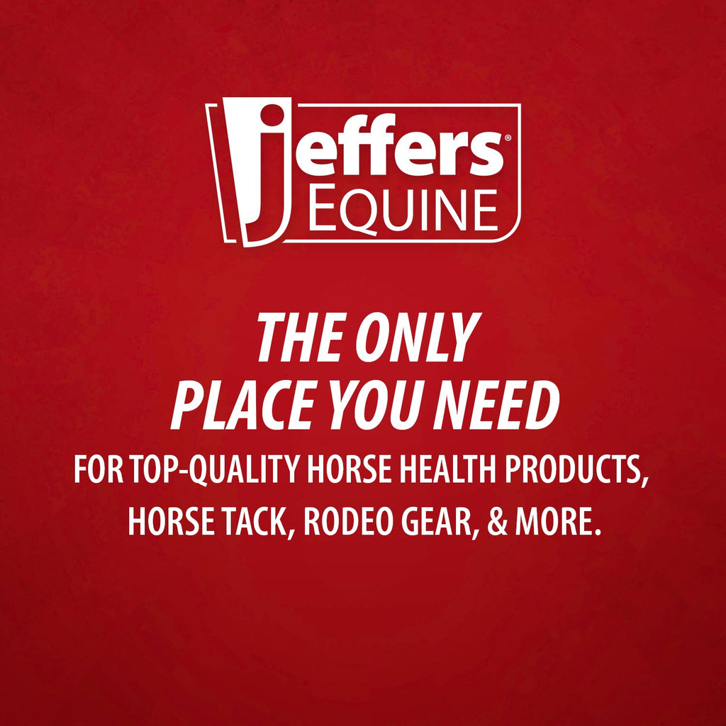 Jeffers Protective Horse Boots, Solid Colors Jeffers