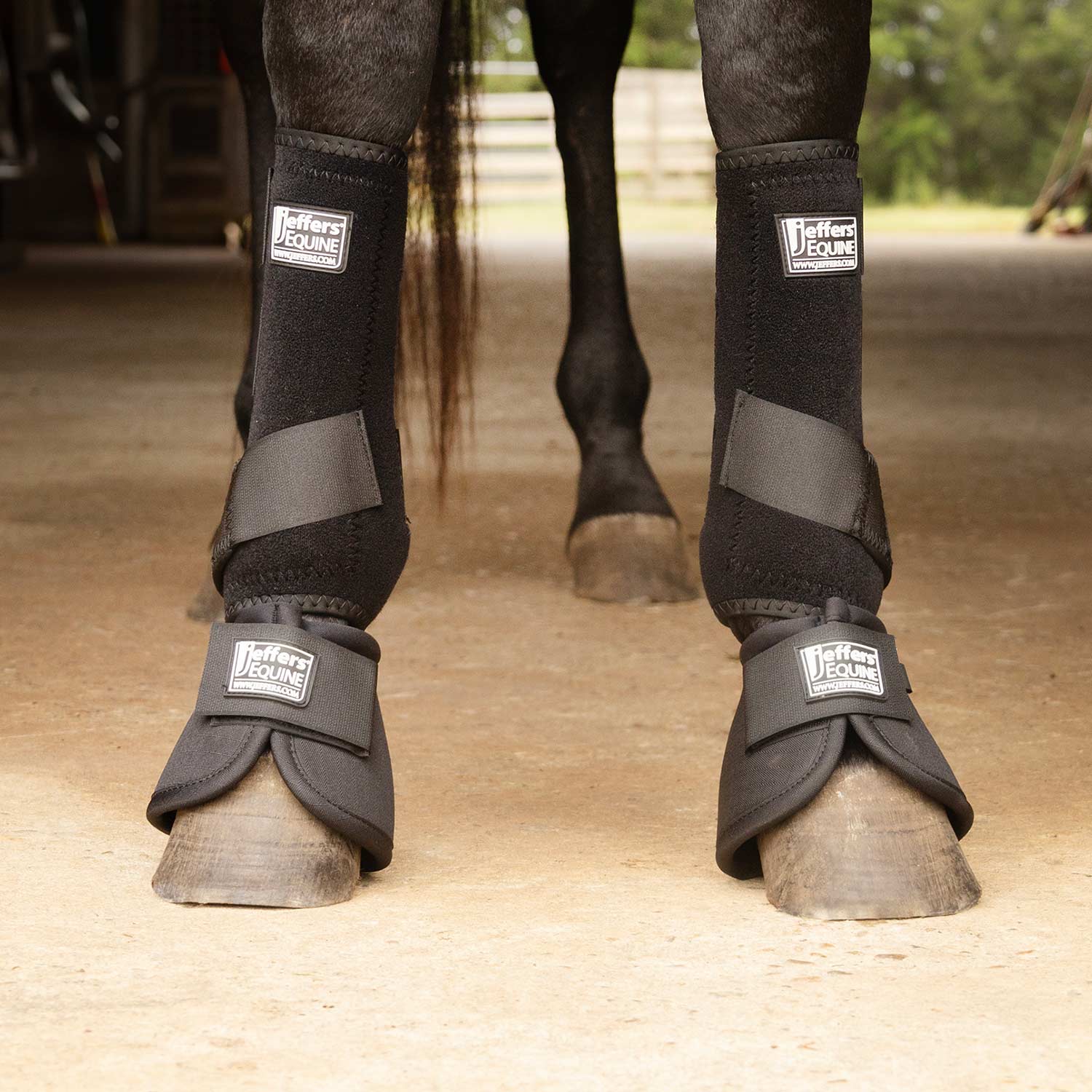 Jeffers Protective Horse Boots, Solid Colors Jeffers