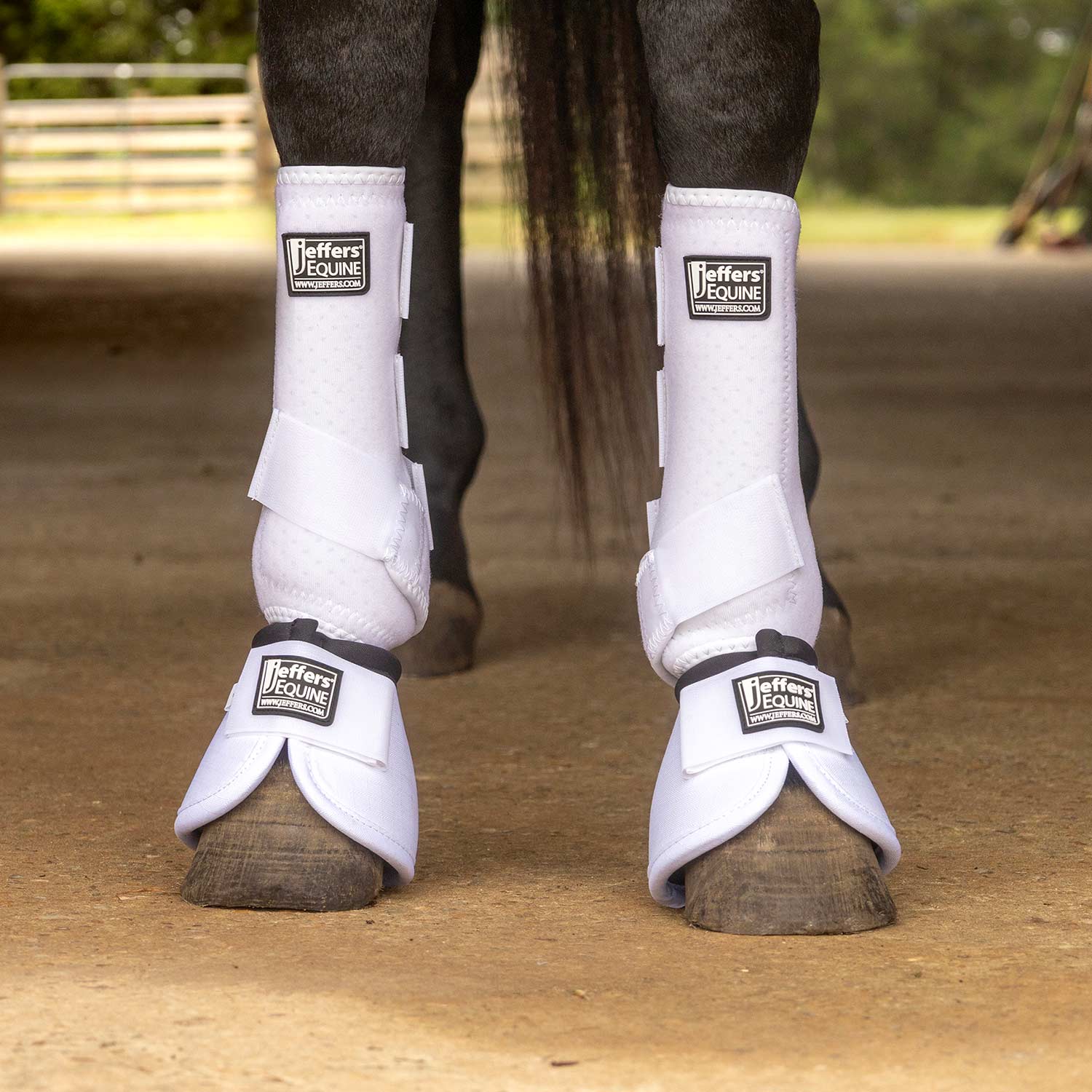 Jeffers Protective Horse Boots, Solid Colors Jeffers