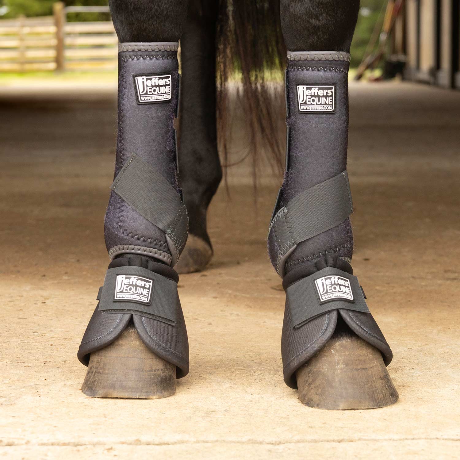 Jeffers Protective Horse Boots, Solid Colors Jeffers