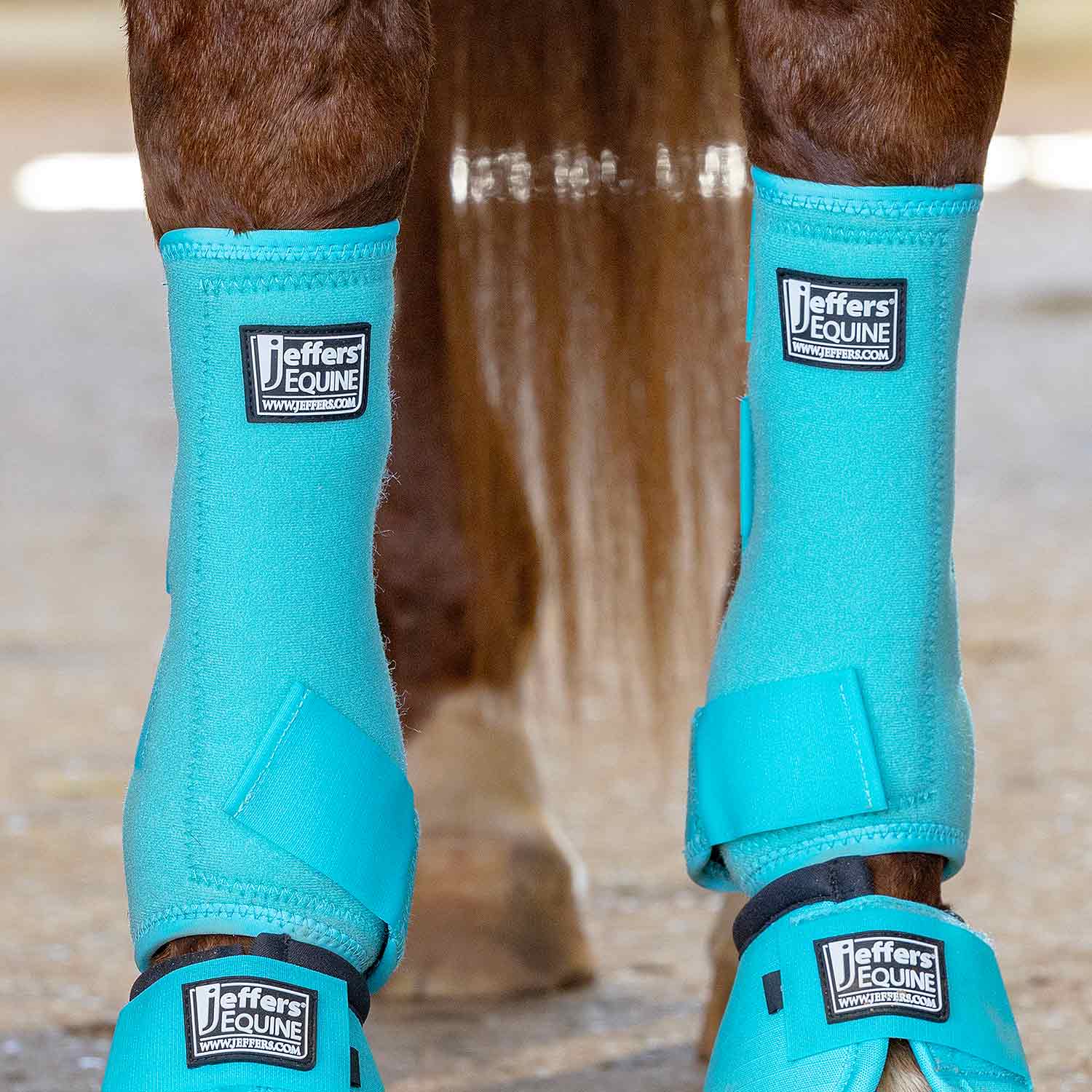 Jeffers Protective Horse Boots, Solid Colors Jeffers