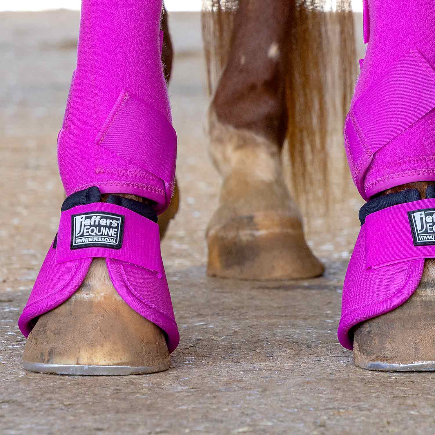 Jeffers Protective Horse Boots, Solid Colors Jeffers