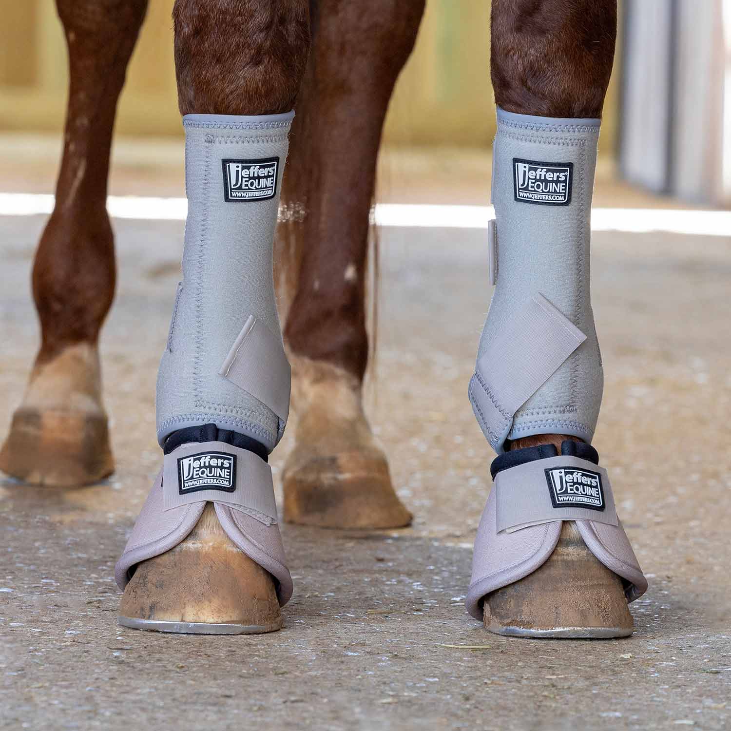 Jeffers Protective Horse Boots, Solid Colors Jeffers
