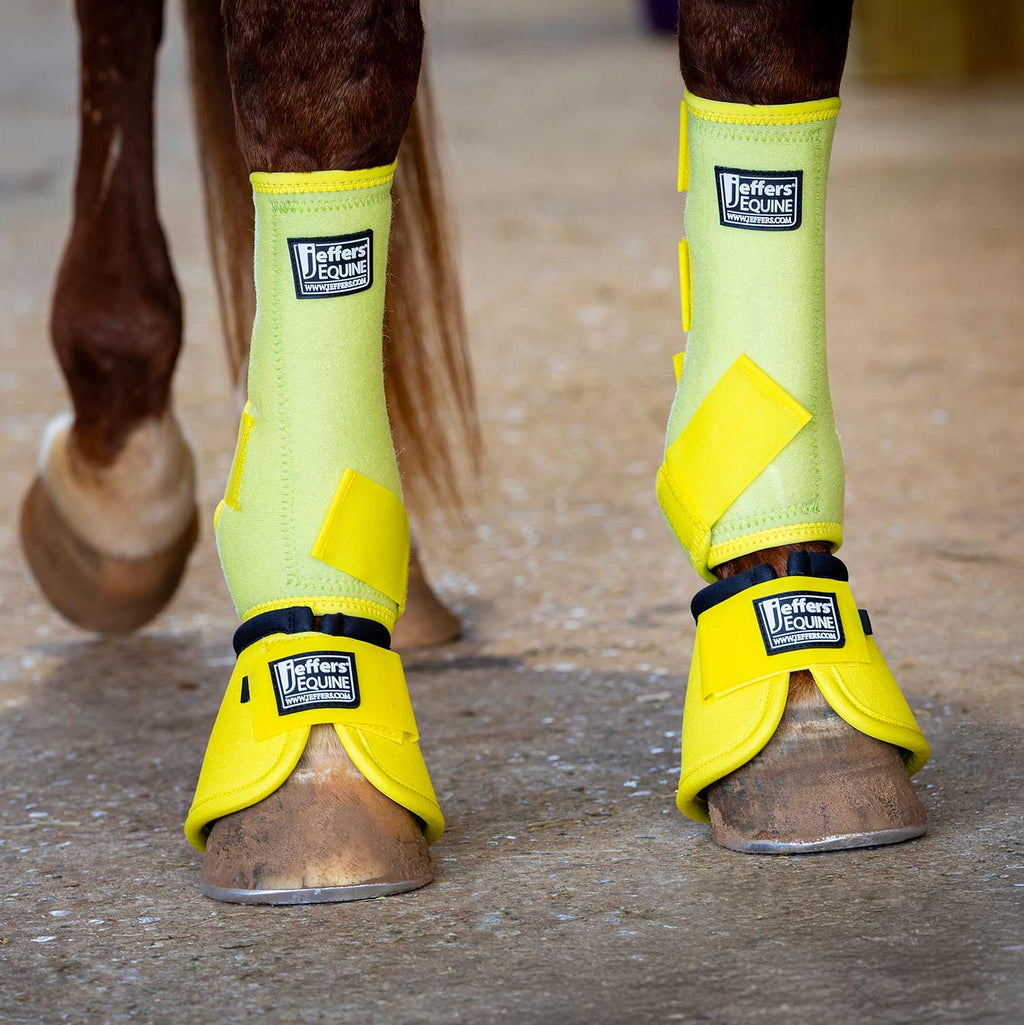 Jeffers Protective Horse Boots, Solid Colors Jeffers