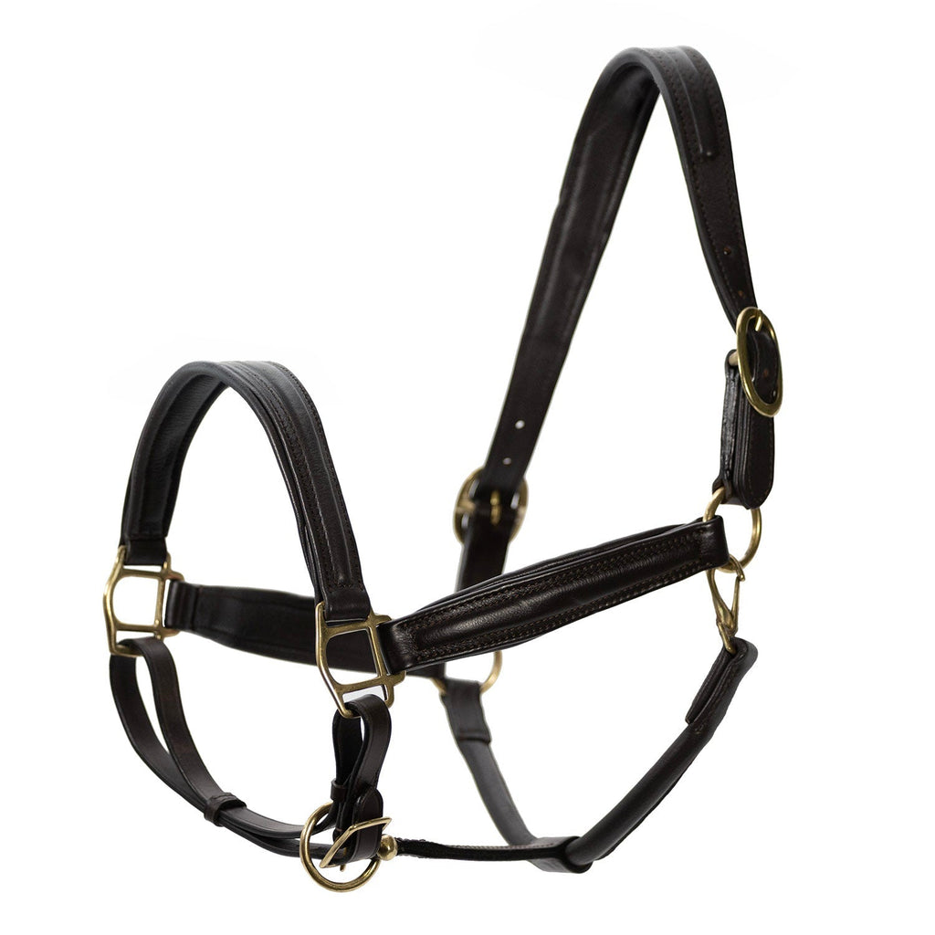 Jeffers Softie Padded Leather Halter for Horses Jeffers